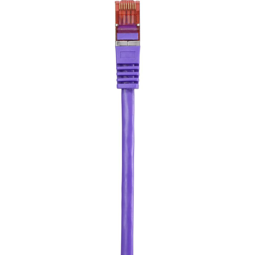Cavo di rete viola con connettore viola su sfondo bianco.