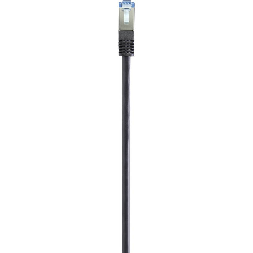 Un cavo di rete nero con connettore blu su sfondo bianco.