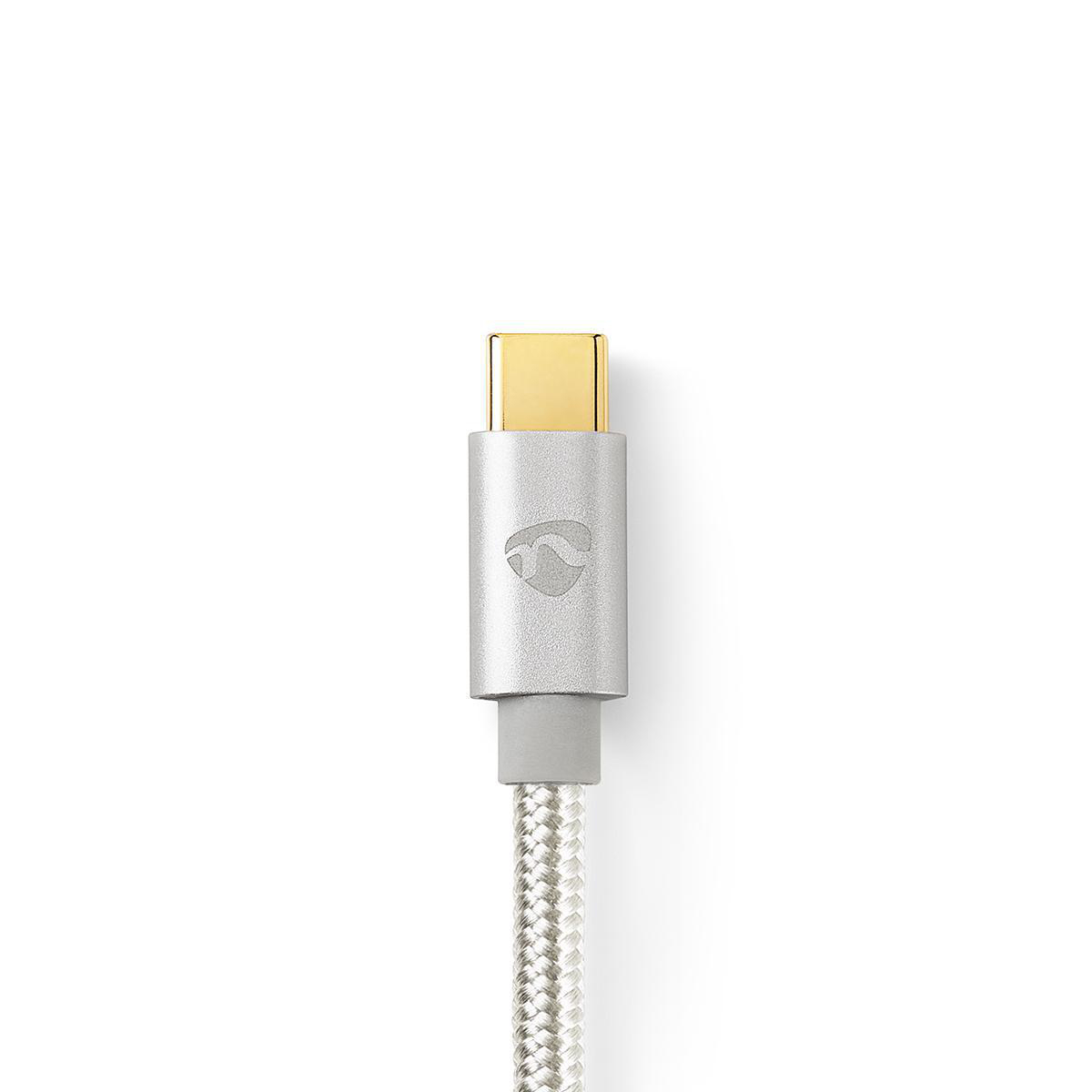 Silberner USB-C-Stecker mit goldfarbener Spitze und silbernem geflochtenem Kabel vor weißem Hintergrund.