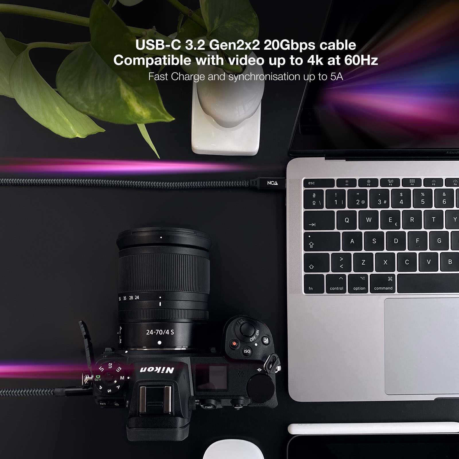 Ein Laptop, eine Kamera und ein USB-C-Kabel auf schwarzem Untergrund. Blätter im Hintergrund.