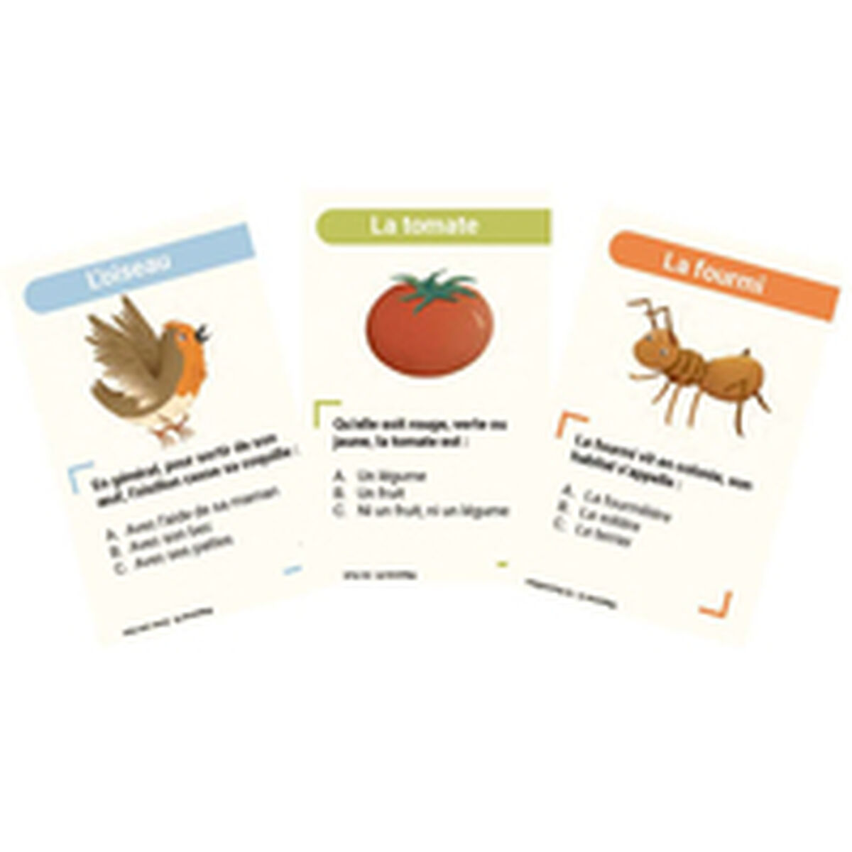Drei Karteikarten mit Illustrationen eines Vogels, einer Tomate und einer Ameise. Text auf Französisch.