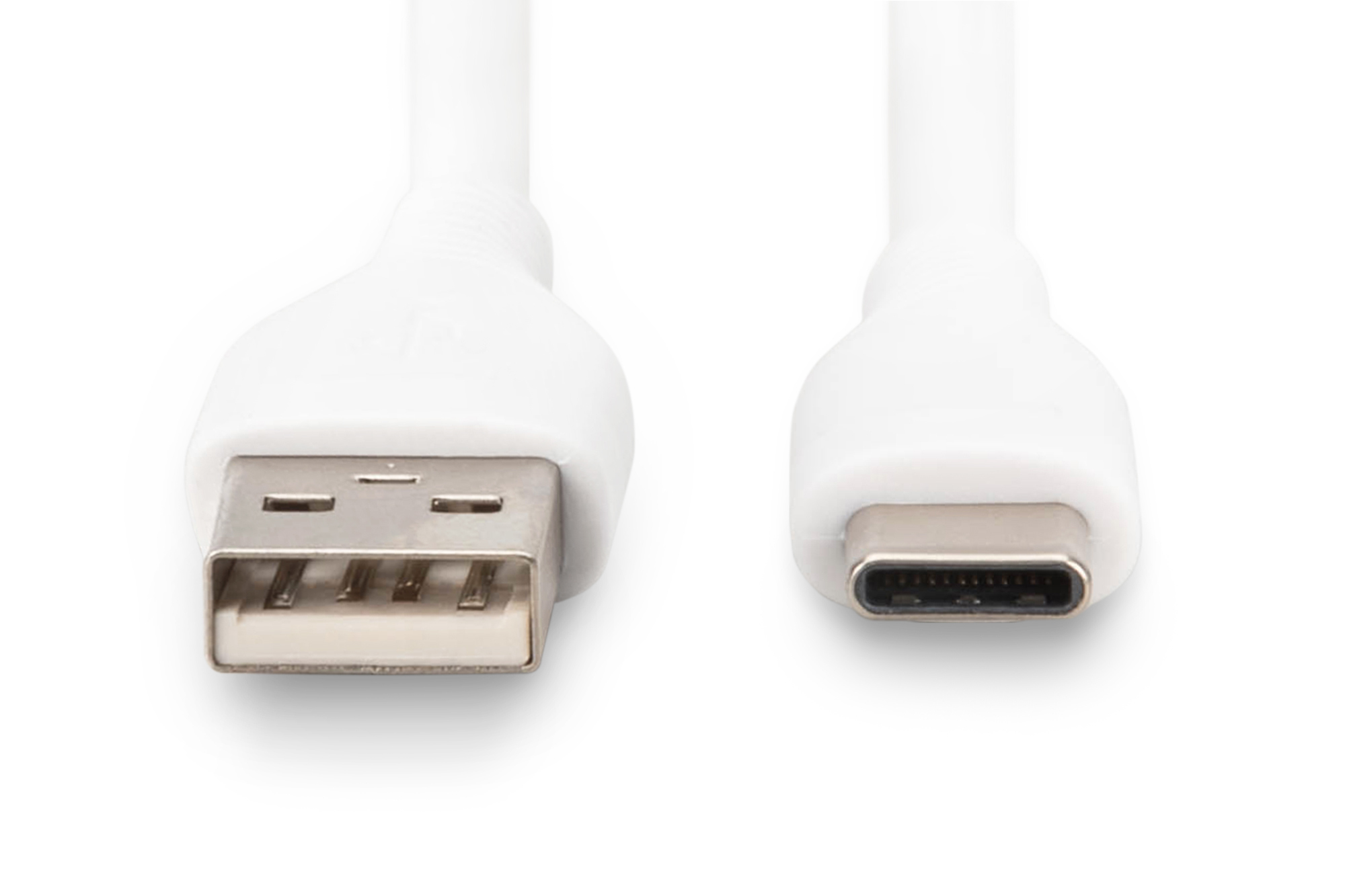 Deux câbles USB blancs avec connecteurs. L'un est USB-A, l'autre est USB-C. Les deux sont blancs.