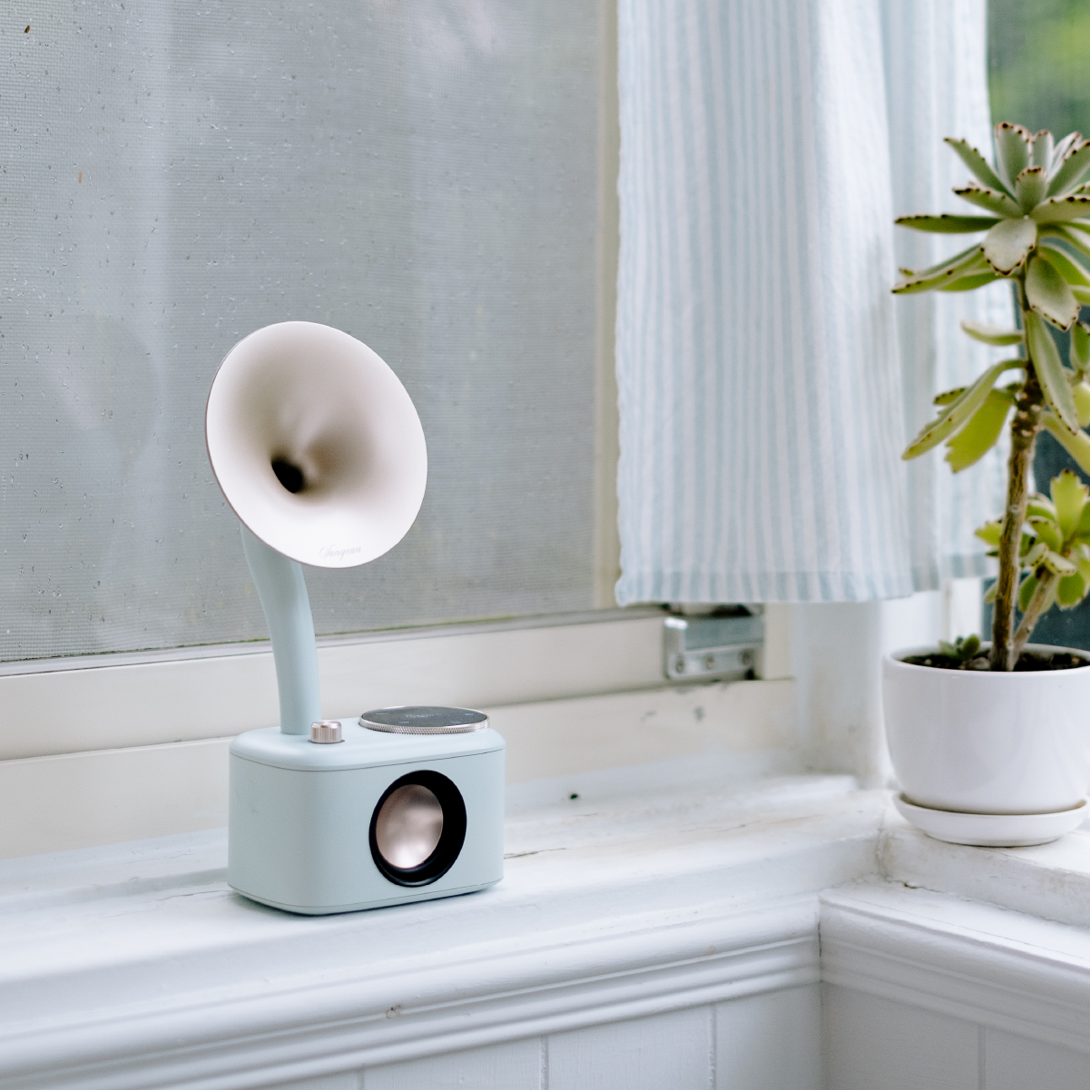 Jasnoniebieski głośnik w stylu retro na parapecie z rośliną sukulentem. Biały głośnik w kształcie rogu.