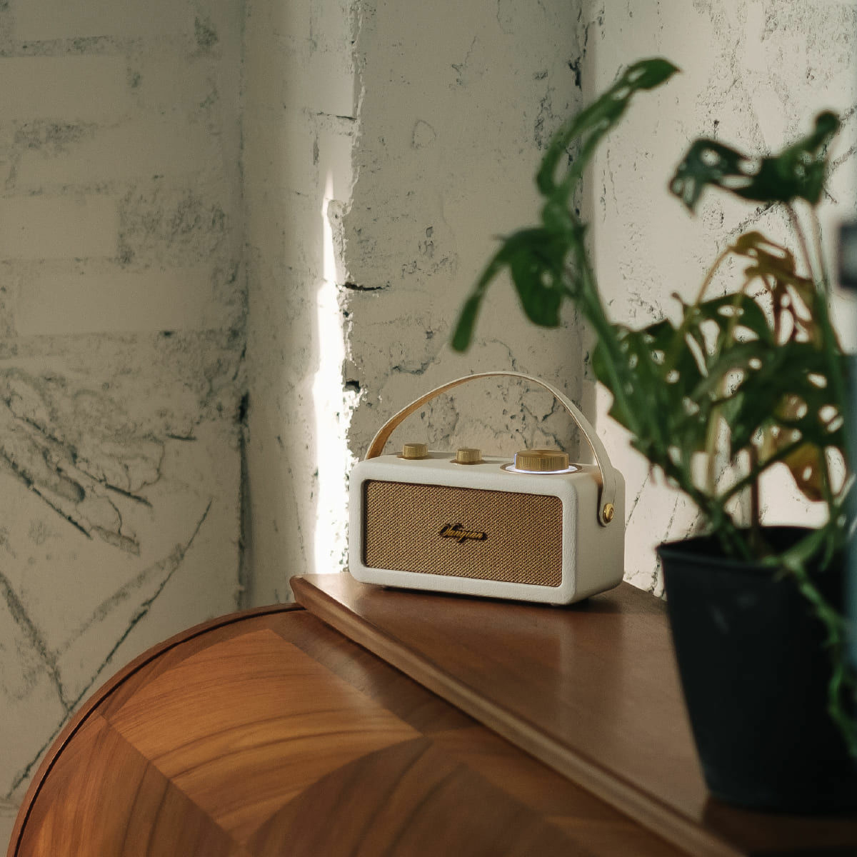 Una radio pequeña, blanca y dorada con asa, sobre una superficie de madera. Una planta al fondo.