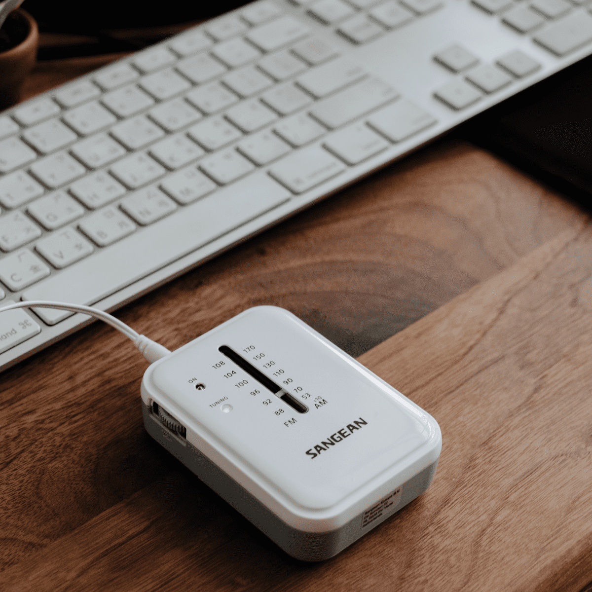 Biało-szare przenośne radio SANGEAN. Posiada pokrętło strojenia i częstotliwości FM/AM. Umieszczone na drewnie.