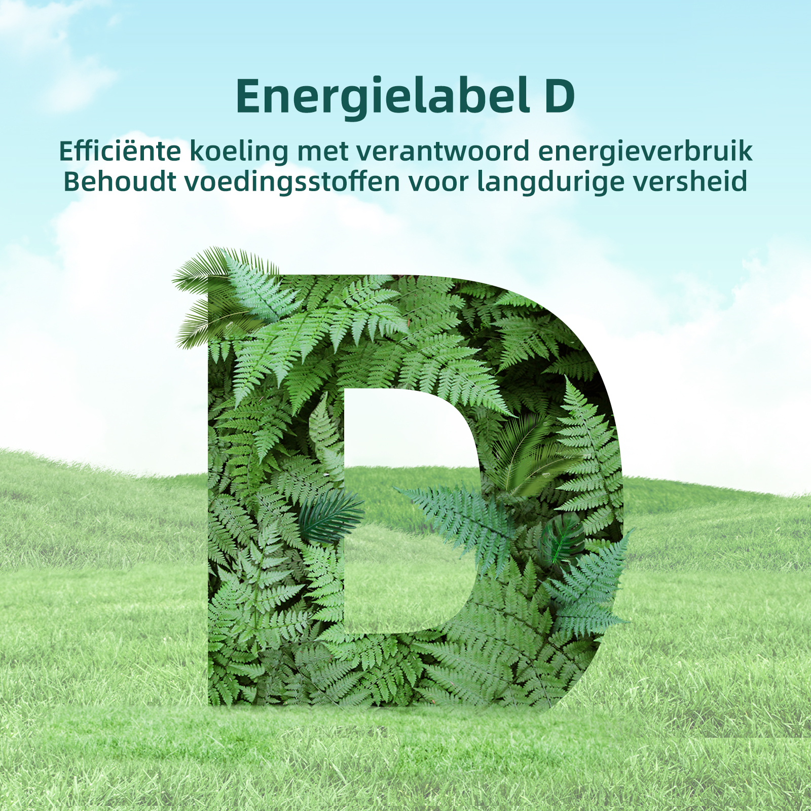 Energy label with the letter D made of green leaves over a meadow.