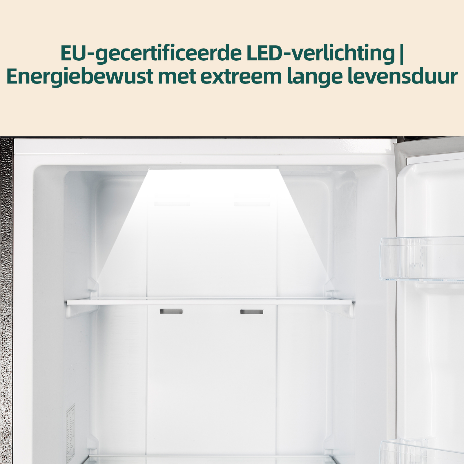 Empty white refrigerator interior with shelf and top light.
