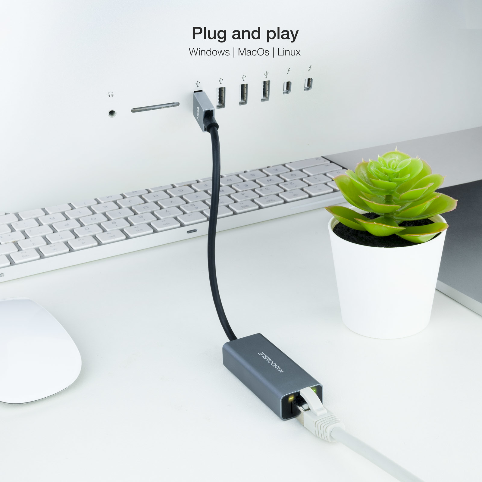 Un adaptador de red gris conectado a una computadora con una planta verde al lado.