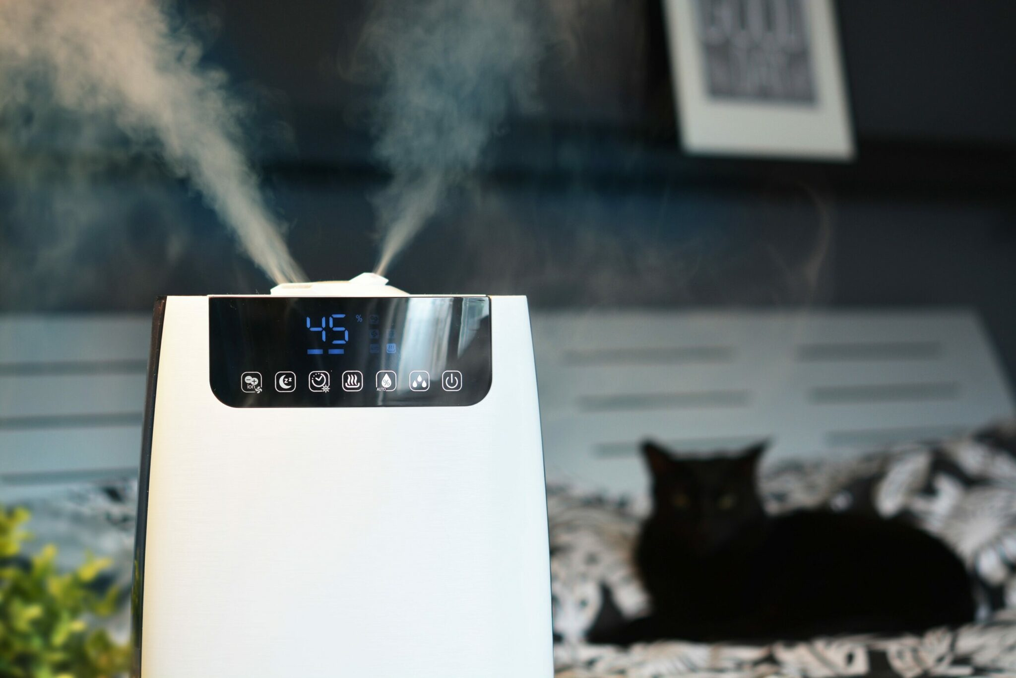 Un umidificatore bianco con display digitale che emette vapore. Un gatto nero sullo sfondo.