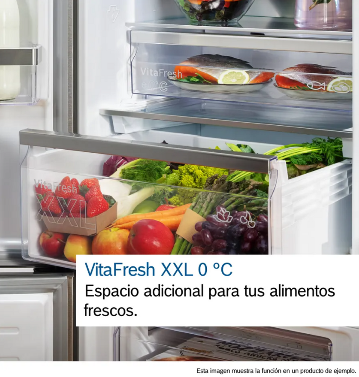 Wnętrze lodówki. Widoczne szuflady z owocami i warzywami.