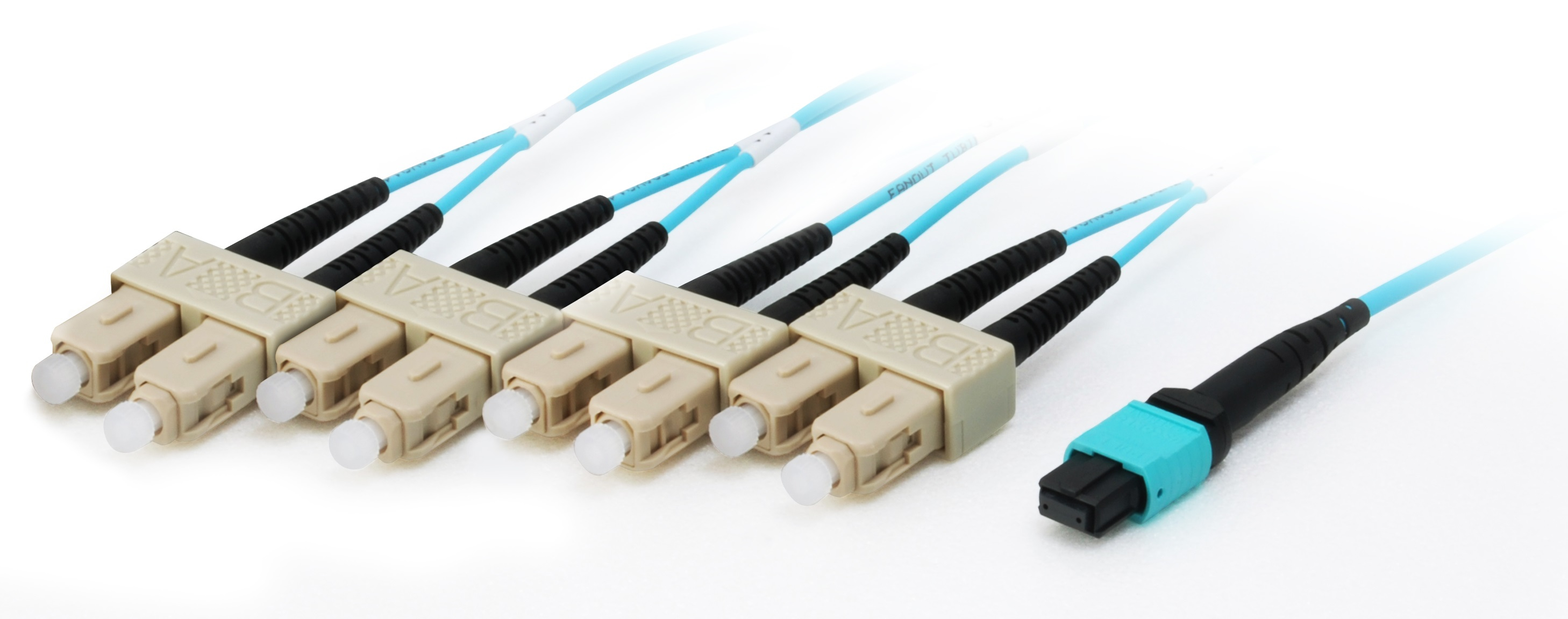 Cavi in fibra ottica con connettori beige, cavo blu e connettore turchese su sfondo bianco.