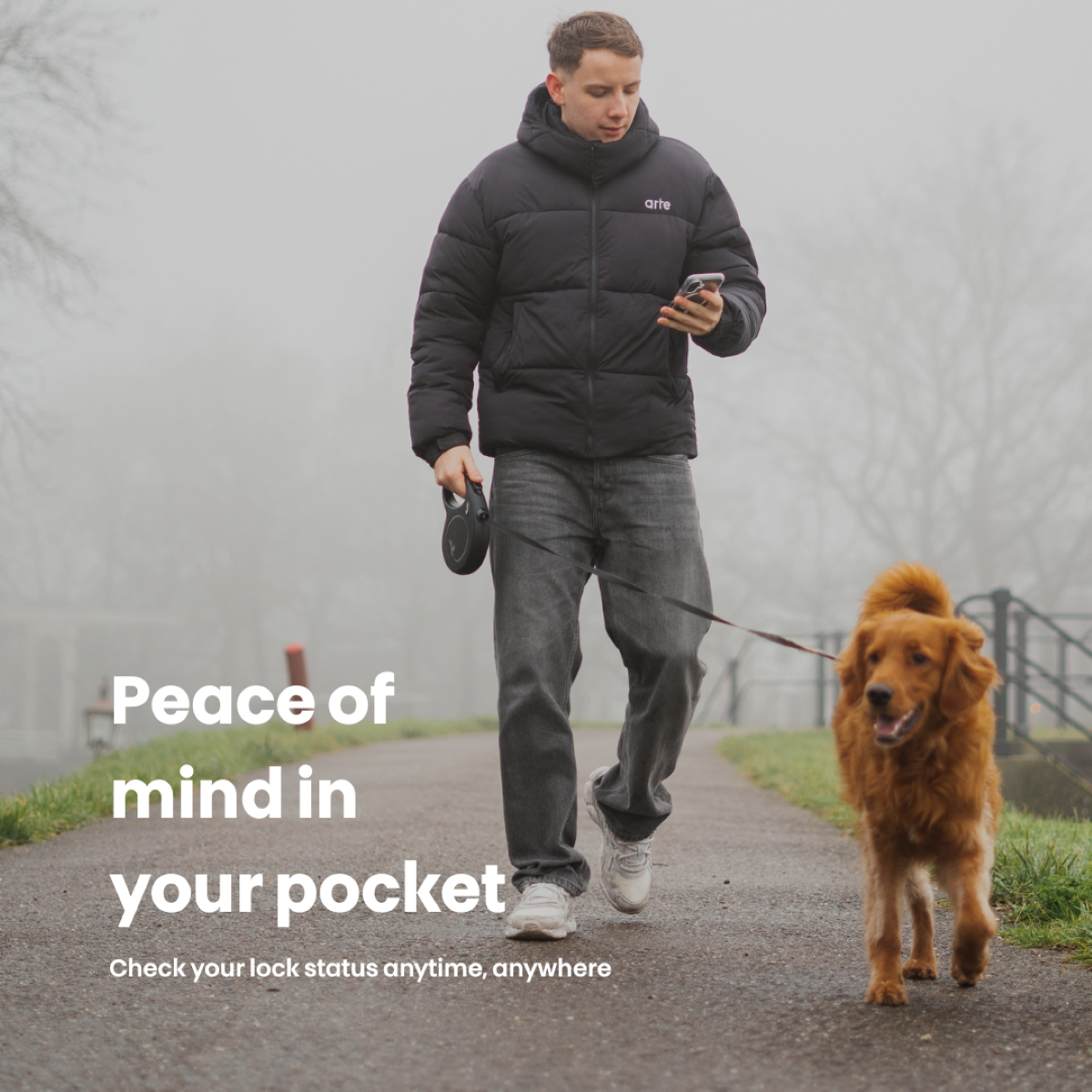 Un homme promène un chien sur un sentier. L'homme tient un téléphone, le chien est un golden retriever.