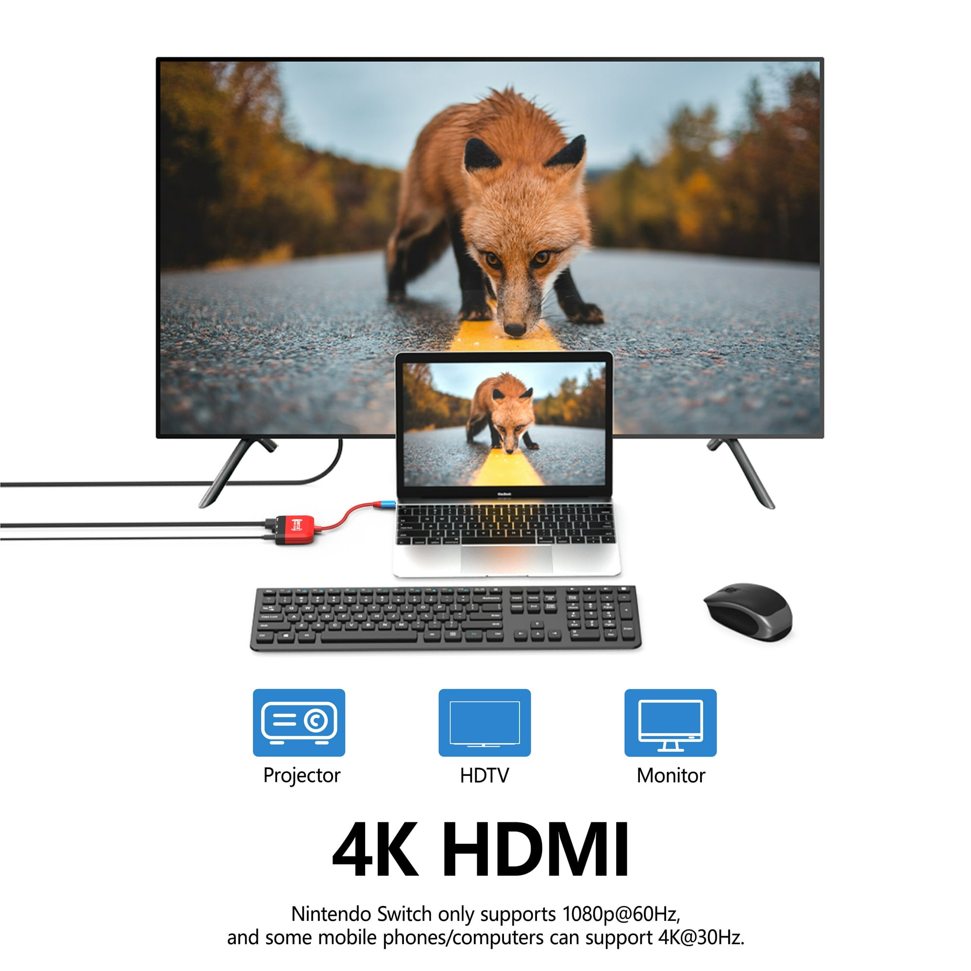 Ein Fernseher zeigt ein Fuchs-Bild, ein Laptop dasselbe. HDMI-Kabel ist angeschlossen.