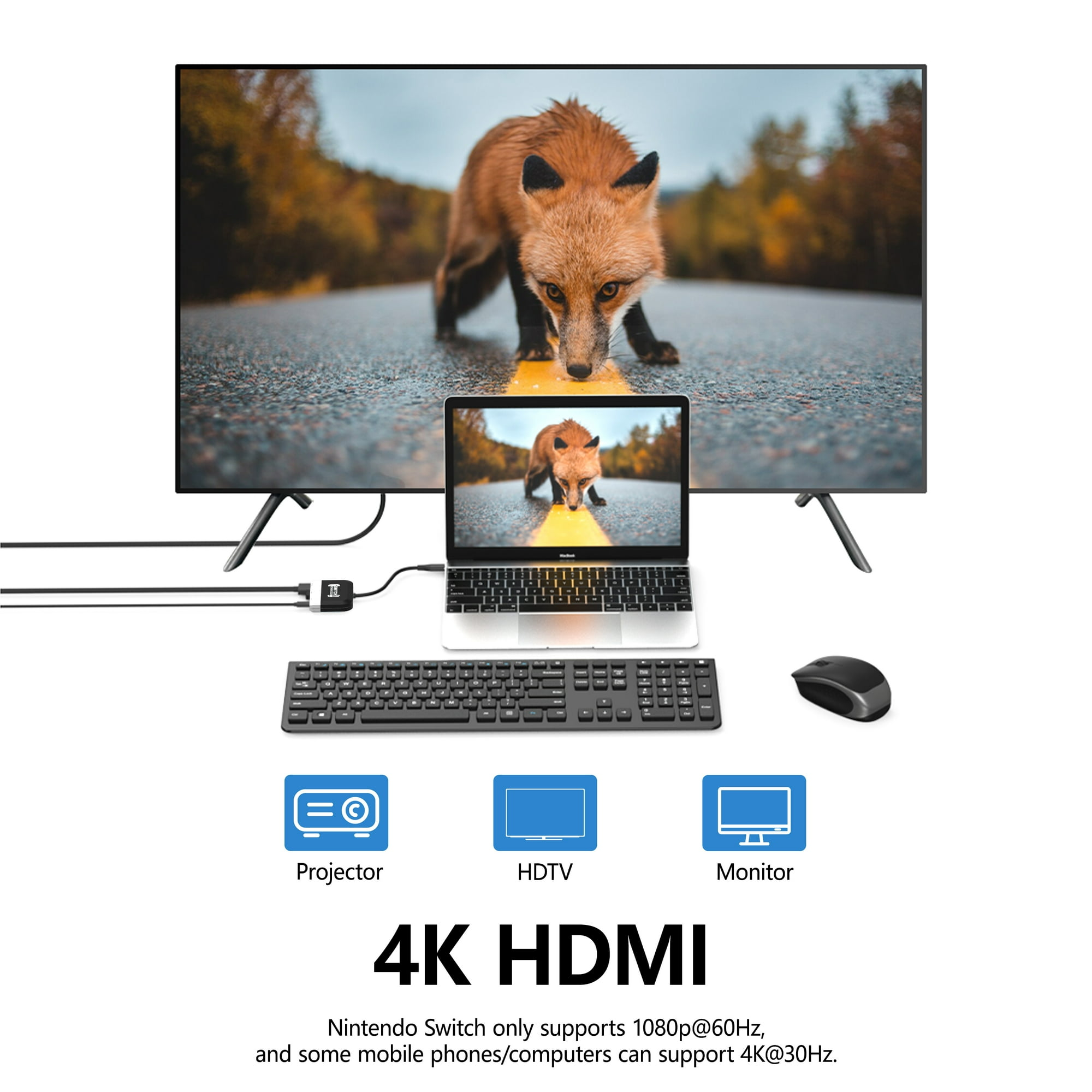 Fernseher, Laptop, Tastatur und Maus sind verbunden. Ein Fuchsbild wird auf TV und Laptop angezeigt.