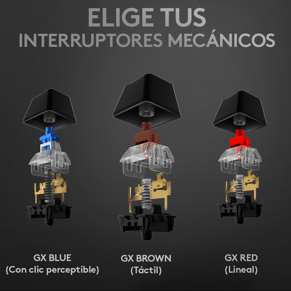 Widok rozstrzelony przełączników klawiatury GX Blue, Brown i Red na szarym tle.