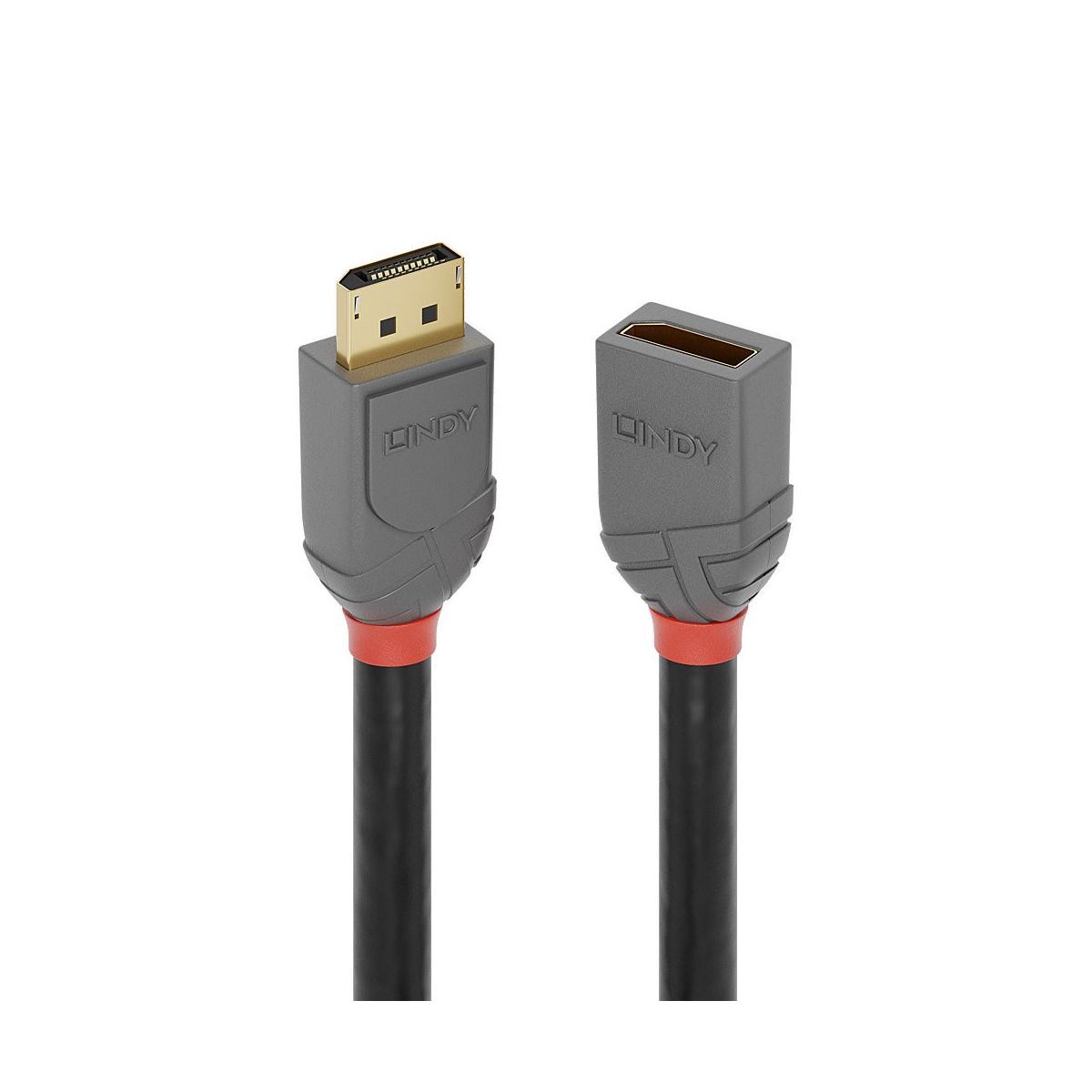 Twee zwarte DisplayPort-kabels met gouden connectoren en het woord LINDY aan de zijkant.