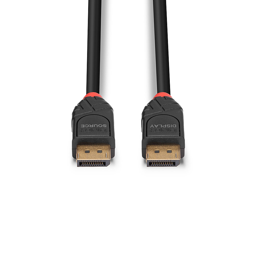 Zwarte LINDY DisplayPort-kabel met gouden connectoren. Rode accenten. Witte achtergrond.