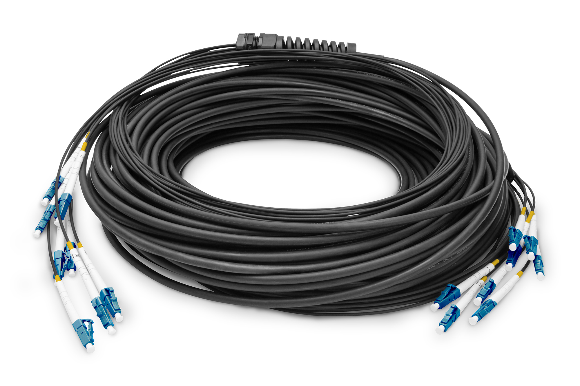 Cavi di rete neri arrotolati con molteplici connettori blu e bianchi. Sfondo bianco.