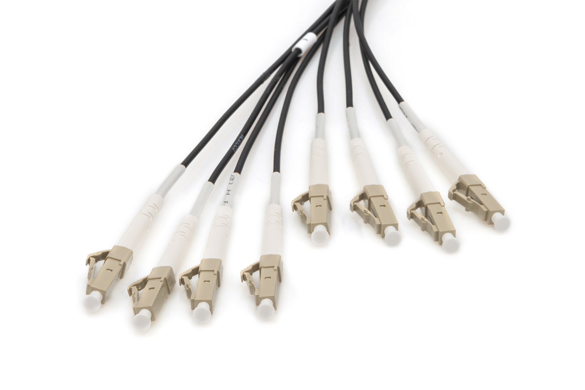 Cavi di rete multipli con connettori beige e bianchi, cavi neri, su sfondo bianco.