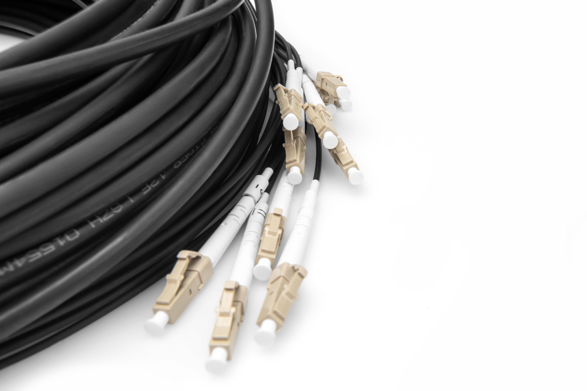 Fascio di cavi di rete neri con connettori colorati chiari su bianco.
