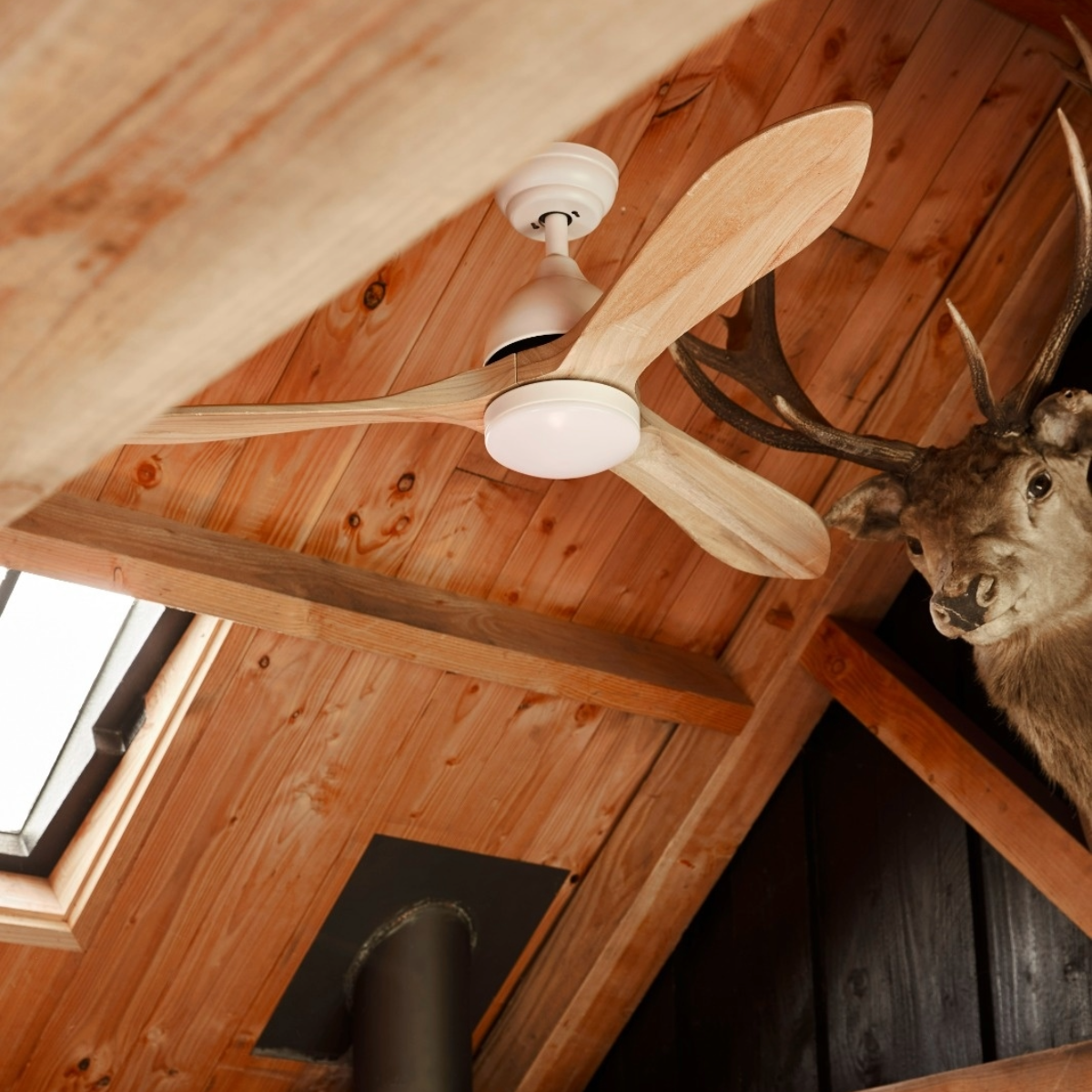 Ventilatore da soffitto in legno con luce, testa di cervo sulla parete. Pale in legno chiaro.