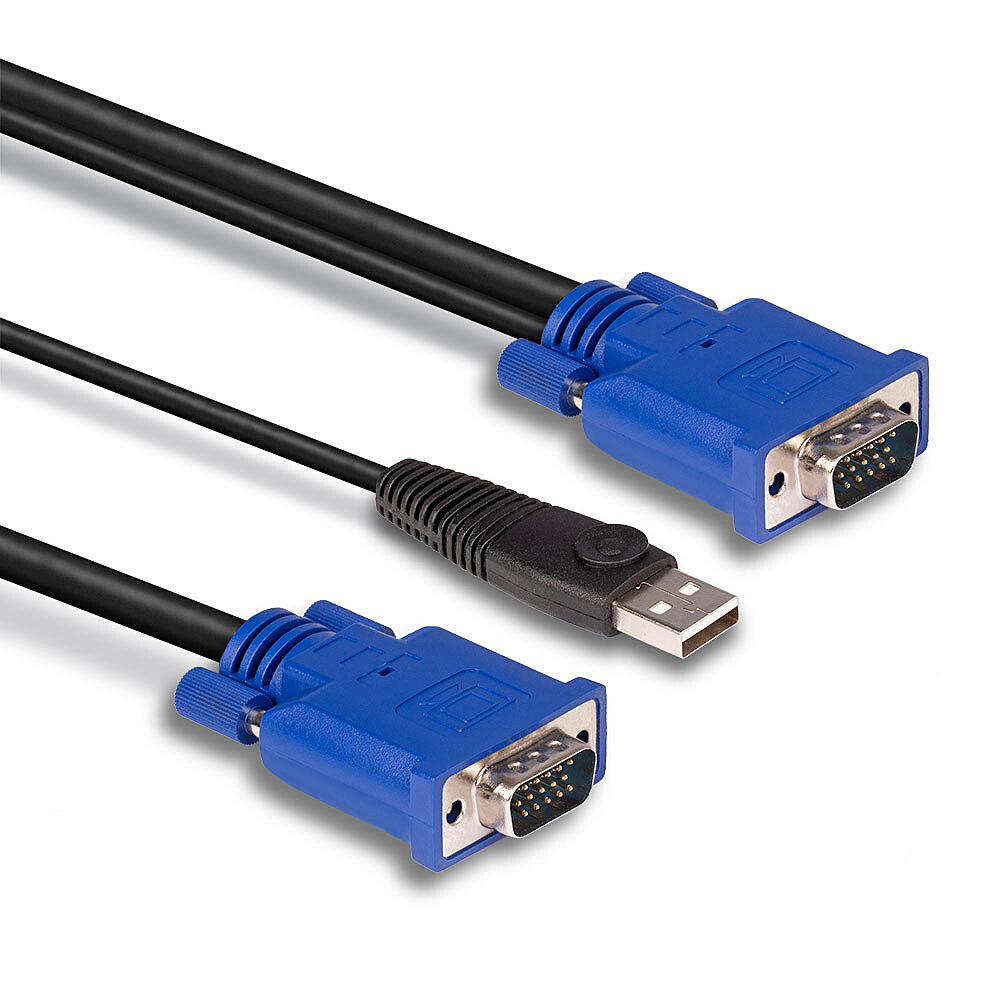 Tre cavi: due connettori VGA blu e un connettore USB nero. Su sfondo bianco.