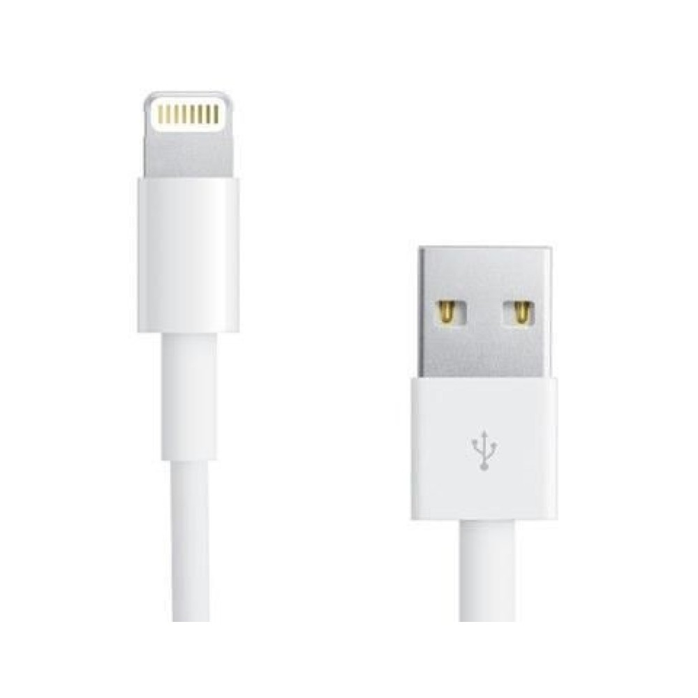 Un cavo di ricarica bianco con connettore Lightning e USB, primo piano.