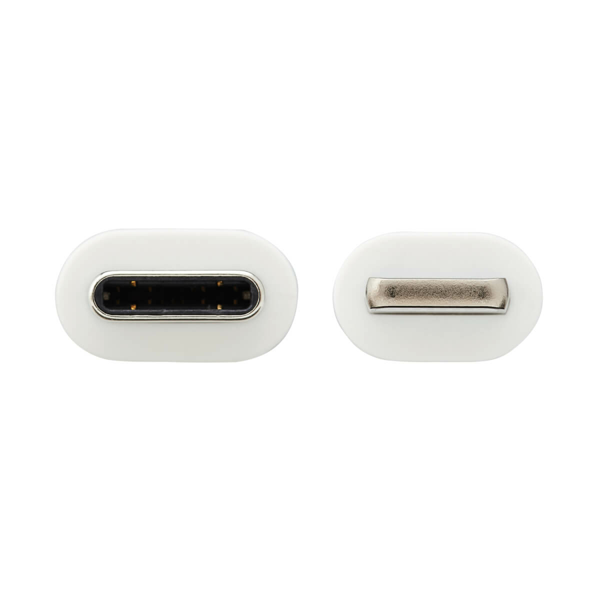 Due connettori USB-C bianchi, affiancati, che mostrano il design della porta.