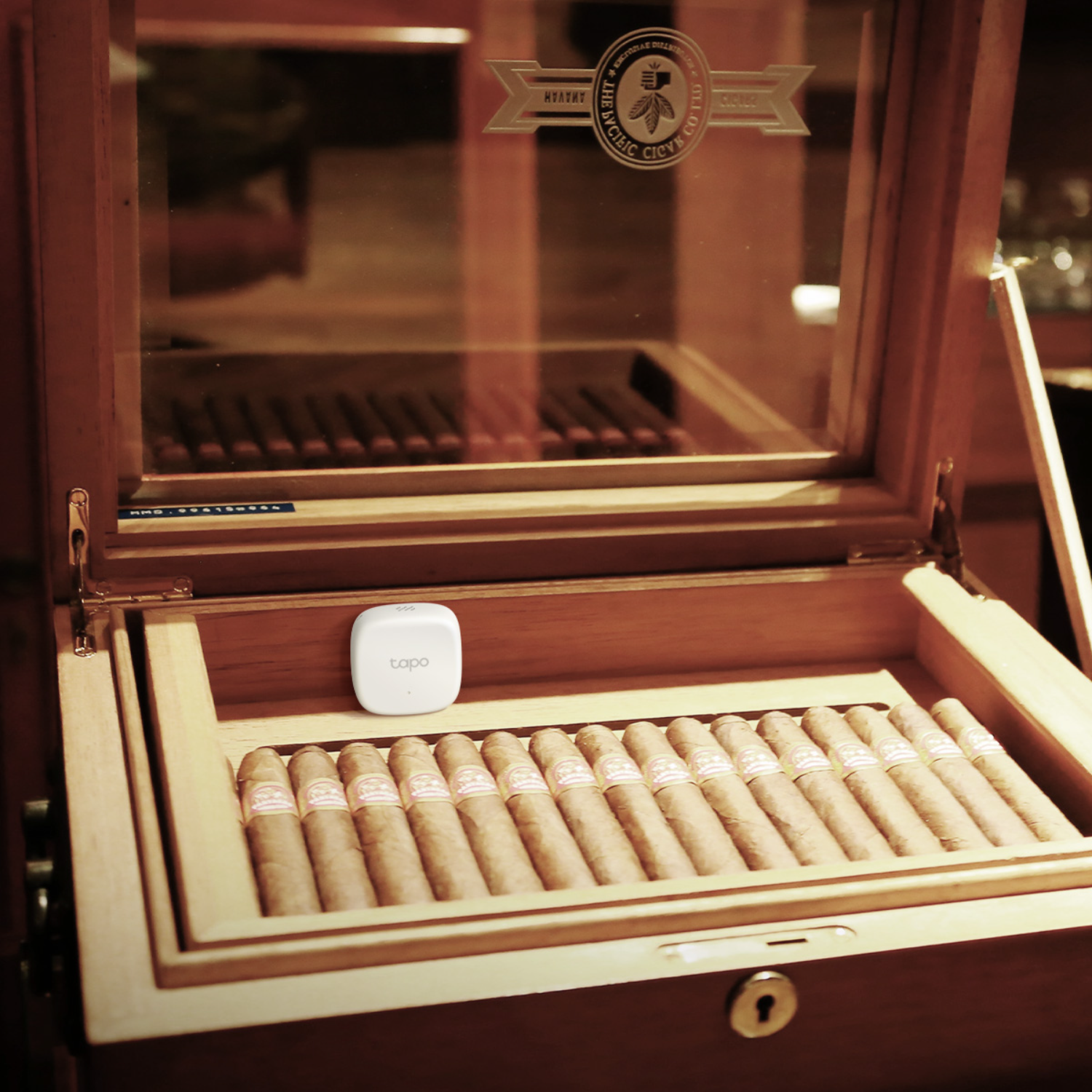 Ein Tapo-Gerät in einem offenen Humidor aus Holz, gefüllt mit Zigarren. Die Umgebung ist schwach beleuchtet.