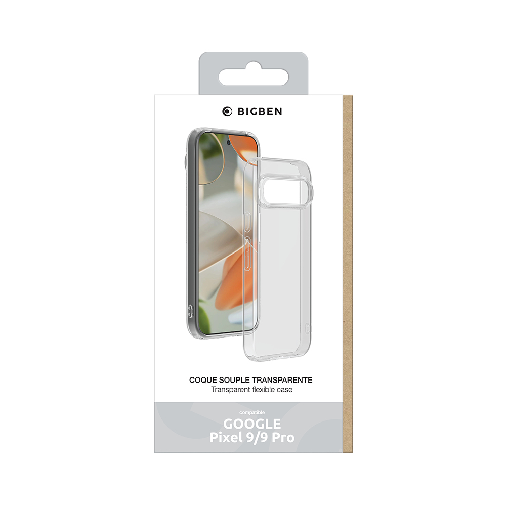 Transparente Handyhüllenbox. Die Hülle ist für ein Google Pixel 9/9 Pro. Die Hülle ist transparent.