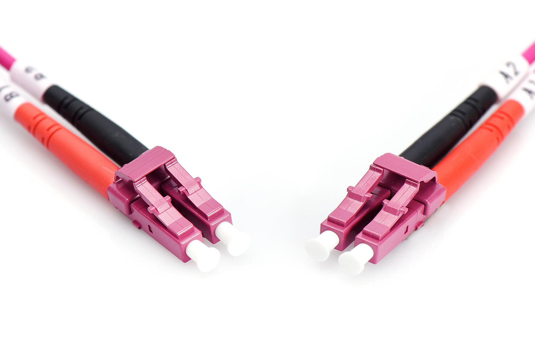 Câbles à fibre optique roses avec connecteurs. Fond blanc.