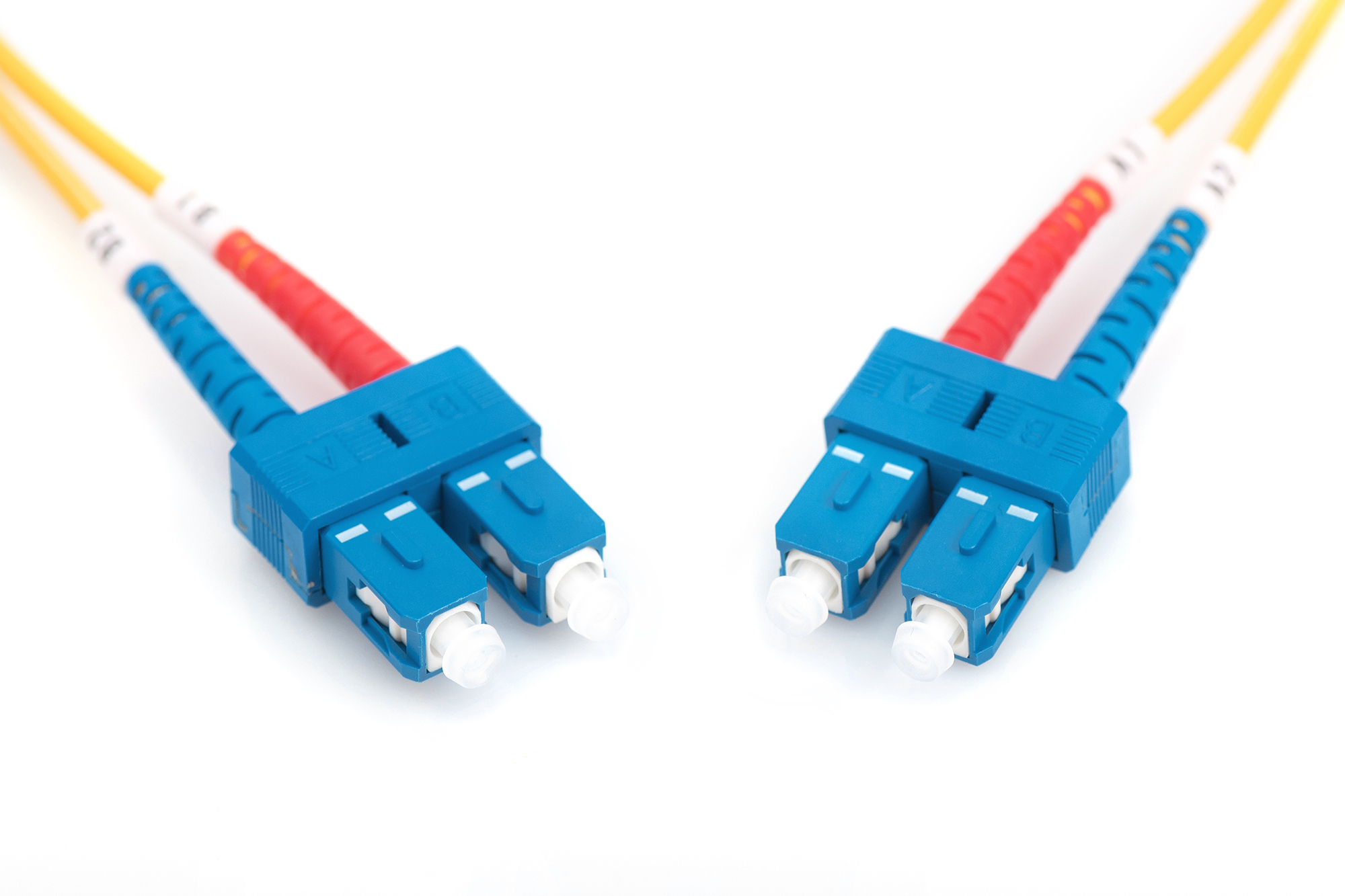 Cavi in fibra ottica gialli con connettori blu. Sfondo bianco.