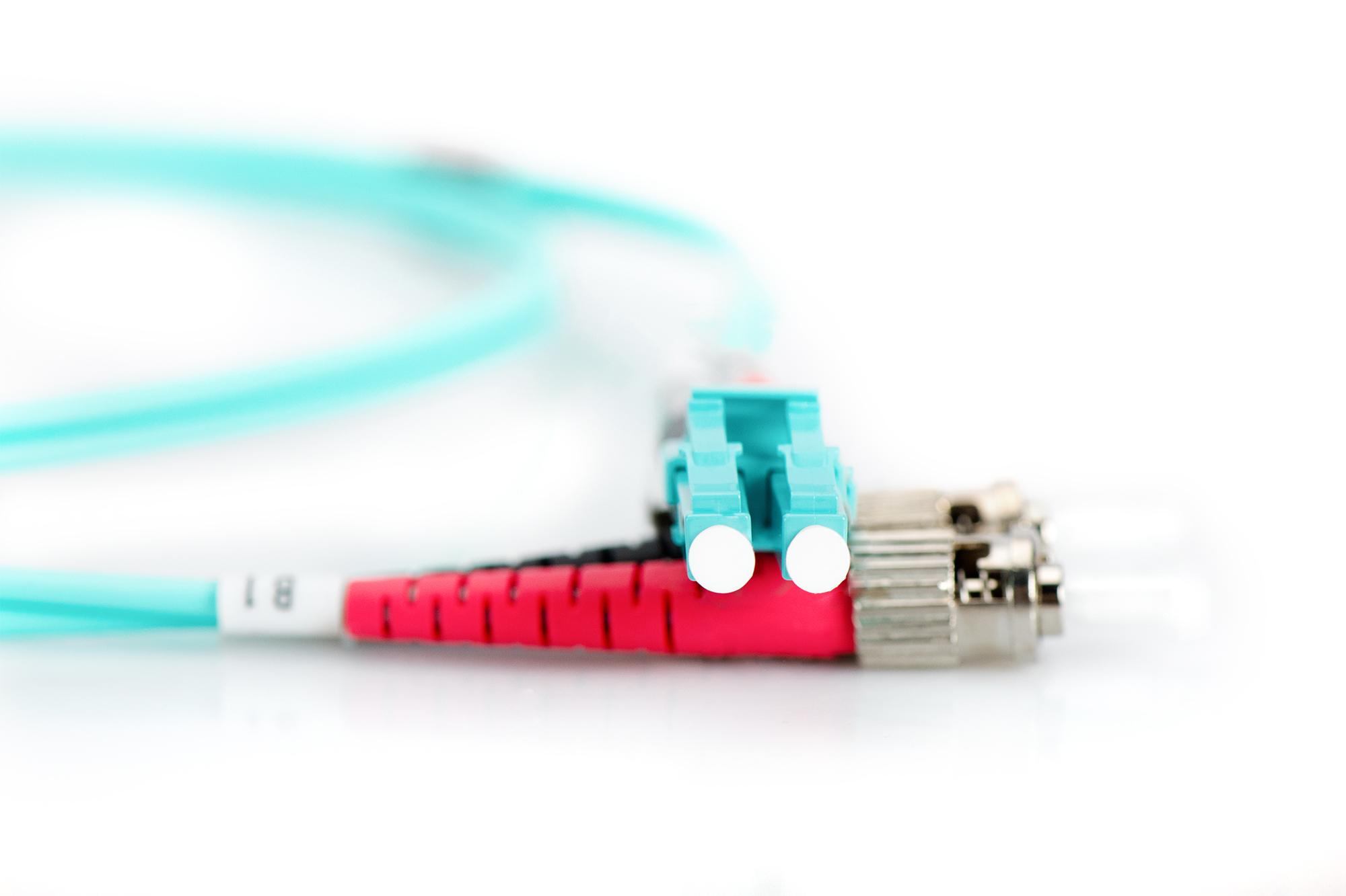 Cavo in fibra ottica blu con connettori su sfondo bianco.