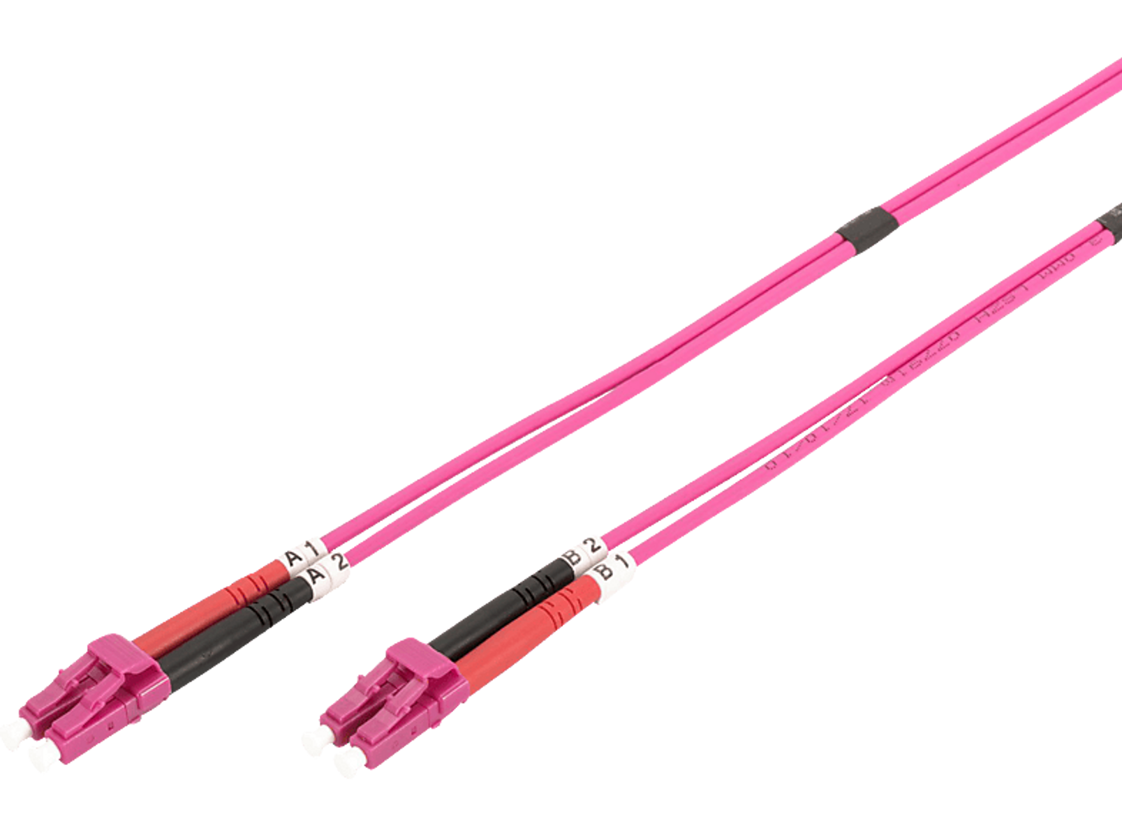 Deux câbles à fibre optique roses avec des connecteurs roses. Fond blanc. Étiquettes A1, A2, B1, B2 visibles.