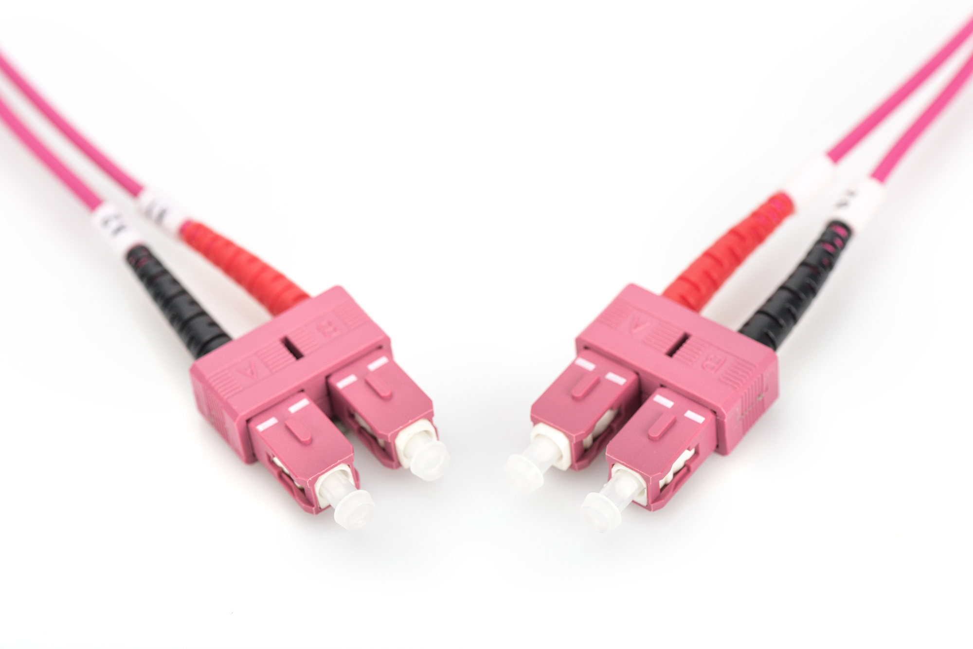 Due cavi in fibra ottica rosa con connettori, parti rosse e nere, su sfondo bianco.