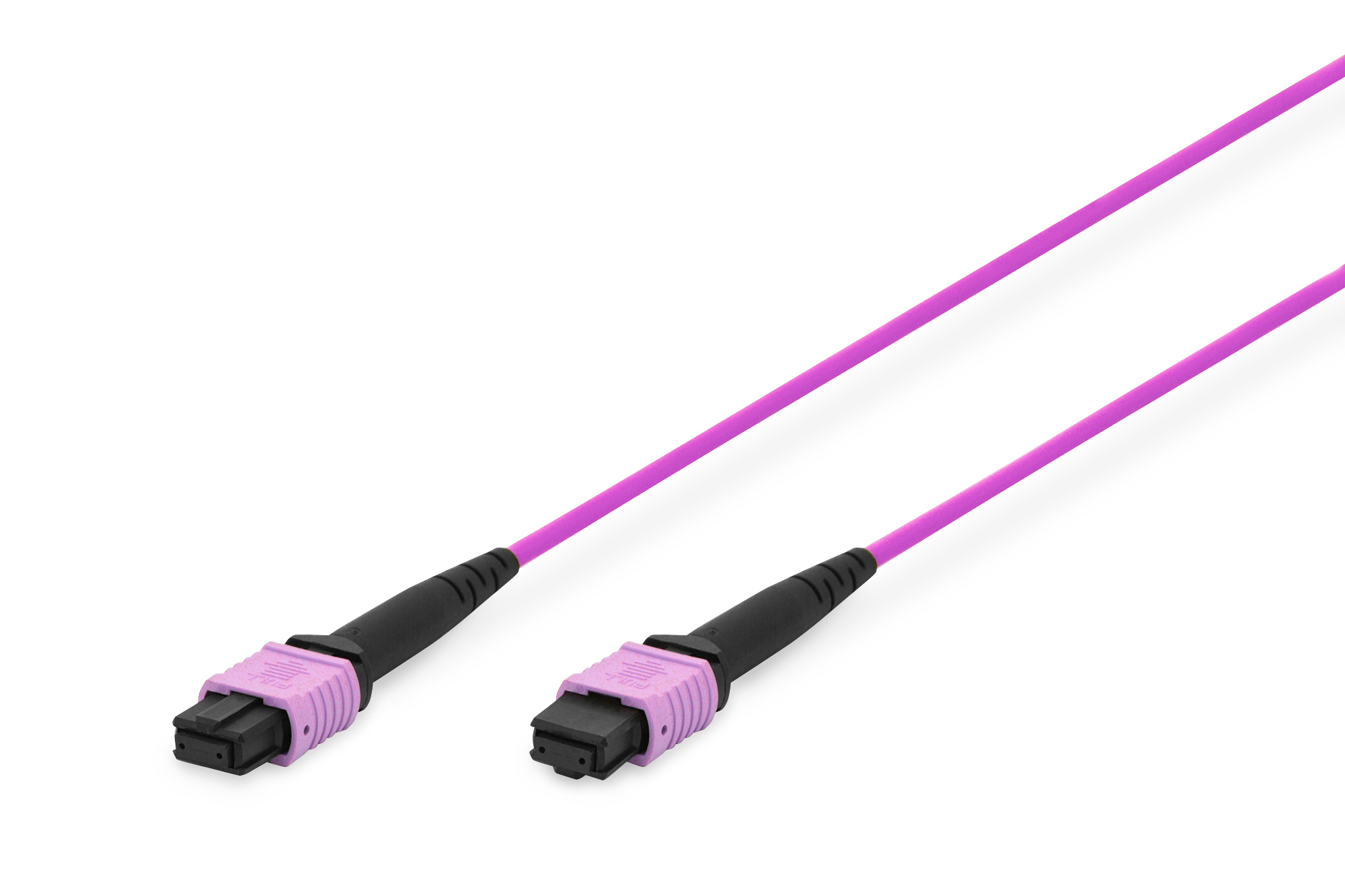 Cavo in fibra ottica con connettori e cavo rosa. Sfondo bianco.
