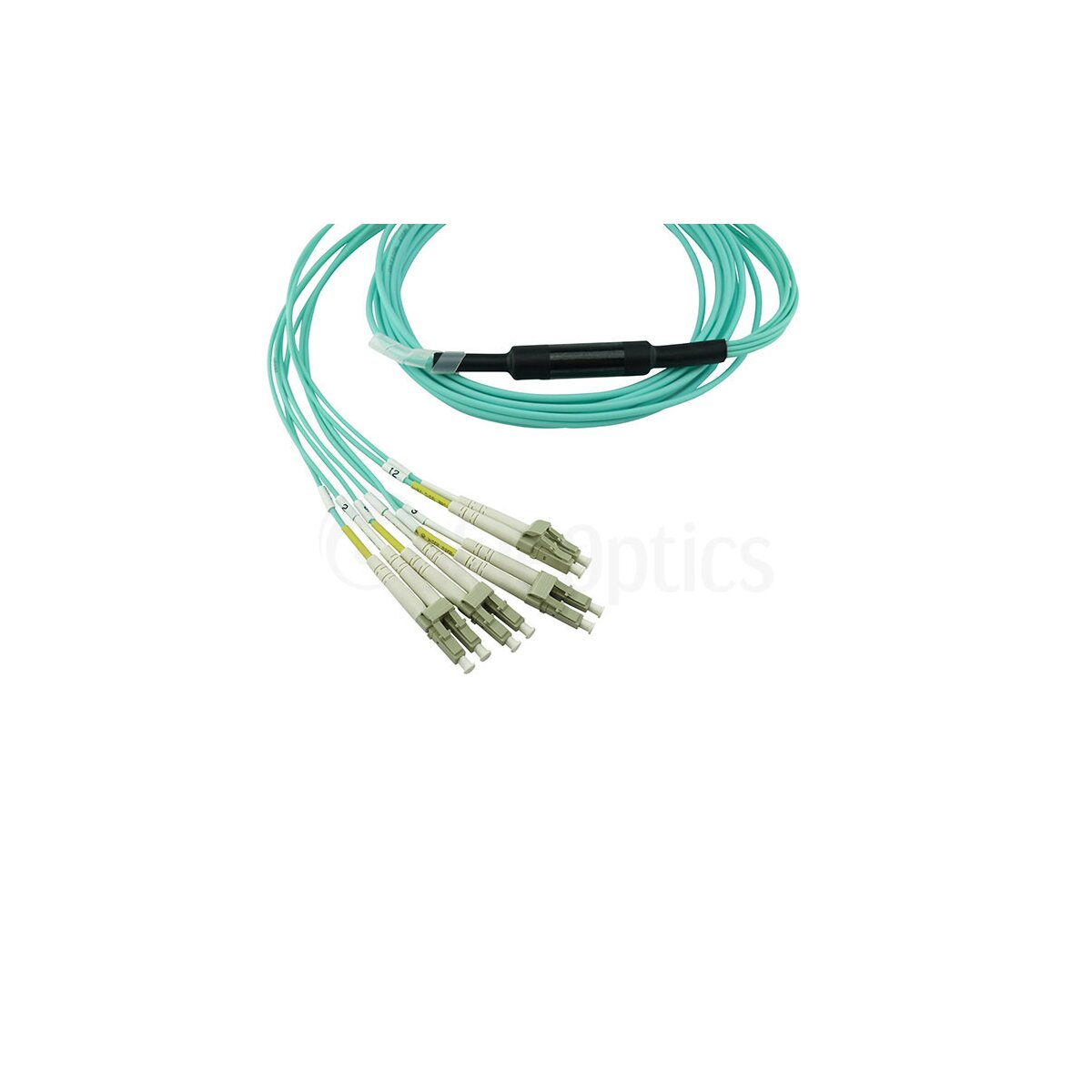 Fascio di cavi in fibra ottica azzurri, con connettori multipli, sfondo bianco.