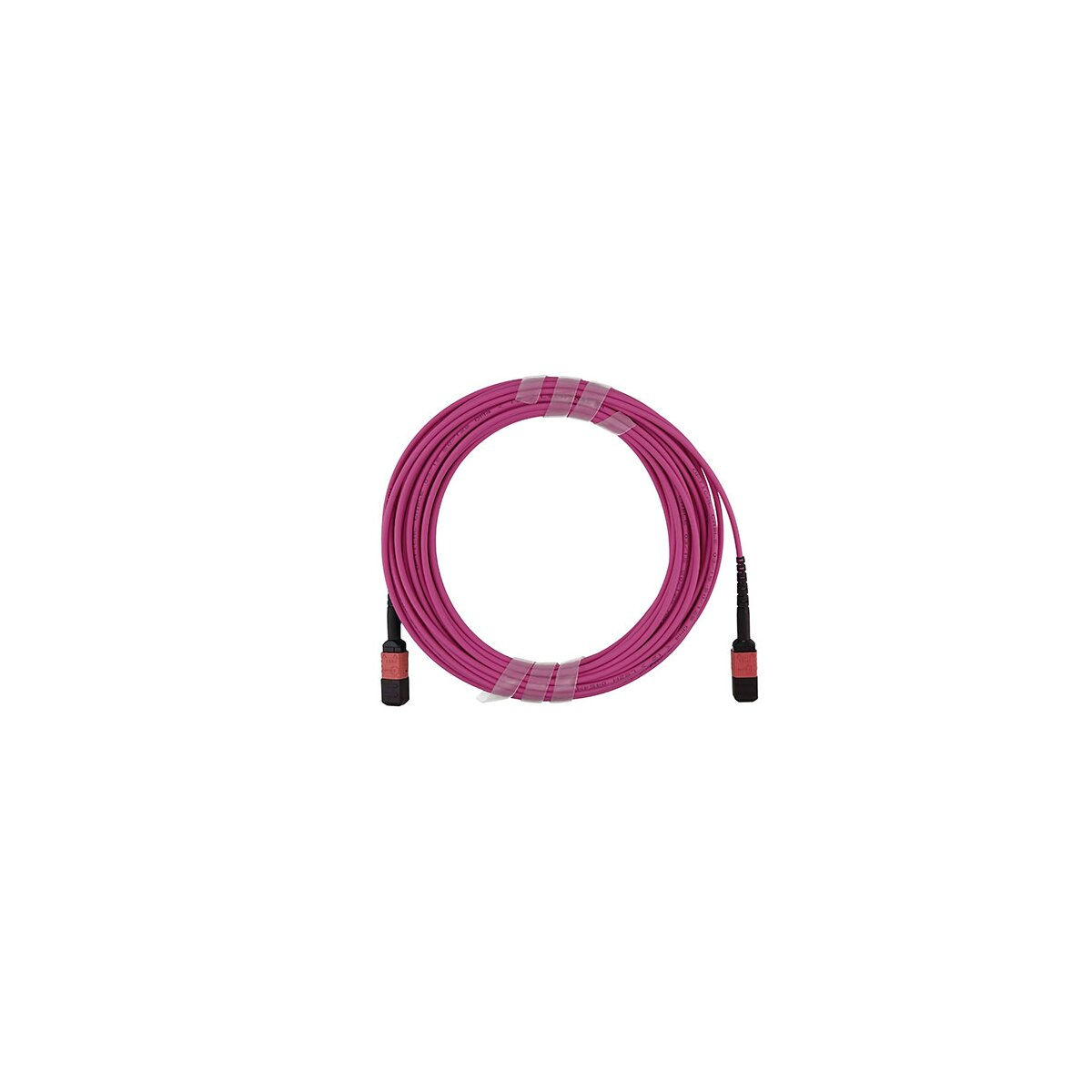 Un cavo magenta arrotolato con connettori neri su entrambe le estremità su sfondo bianco.