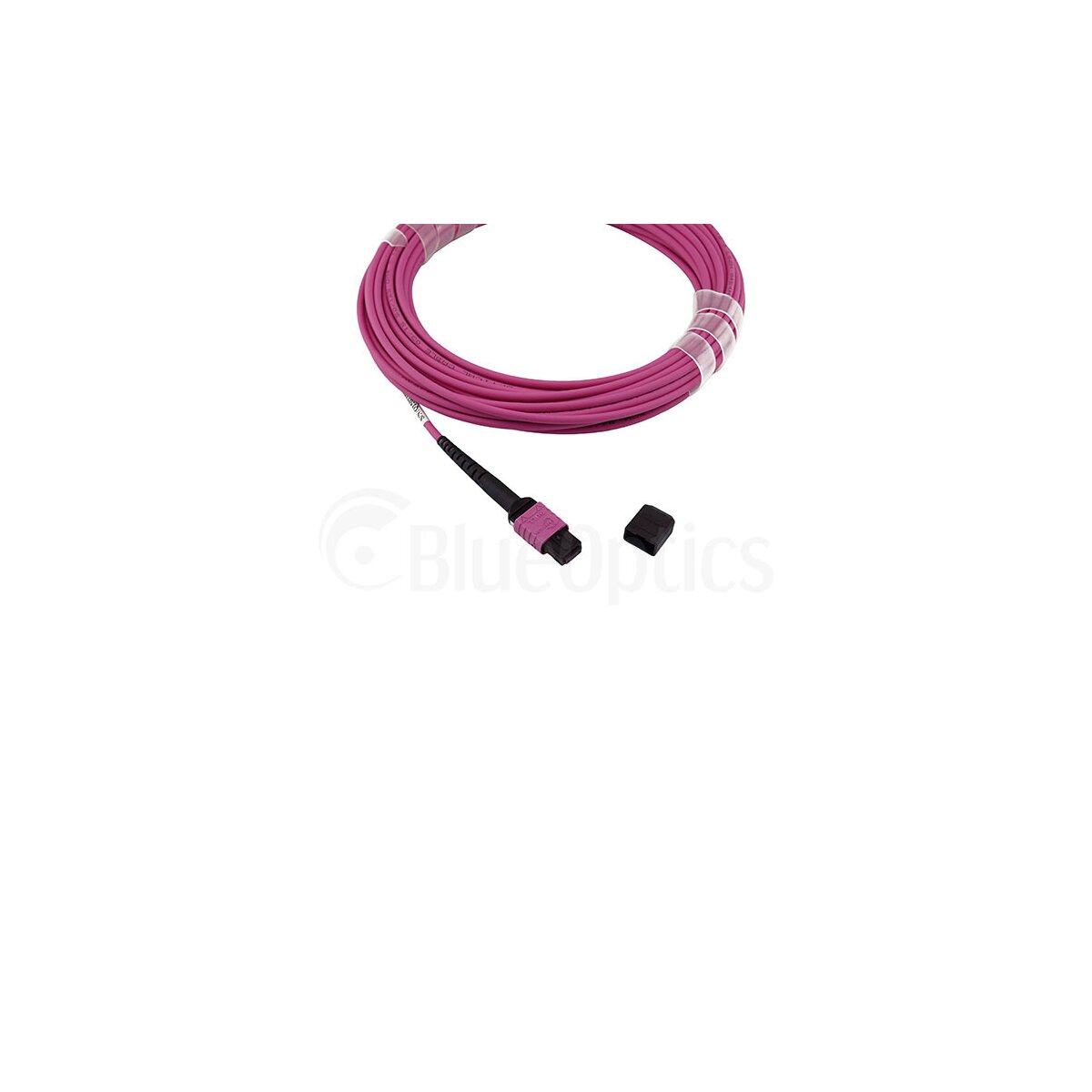 Un cavo magenta con un connettore nero e un cappuccio, parzialmente arrotolato, su sfondo bianco.