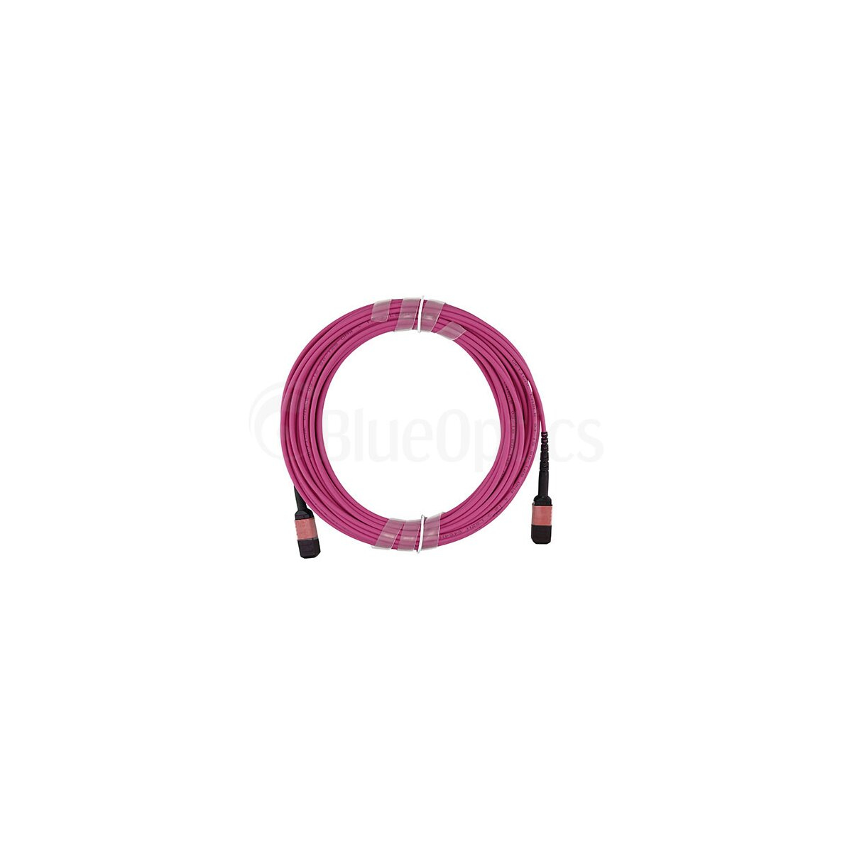 Un cavo magenta arrotolato con connettori neri su entrambe le estremità su sfondo bianco.