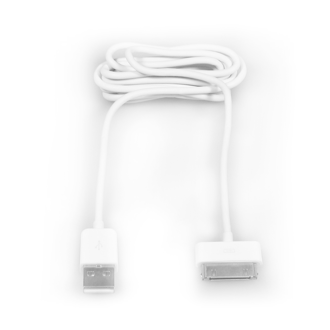 Un cavo bianco da USB a iPad con un connettore USB e uno per iPad, su sfondo bianco.