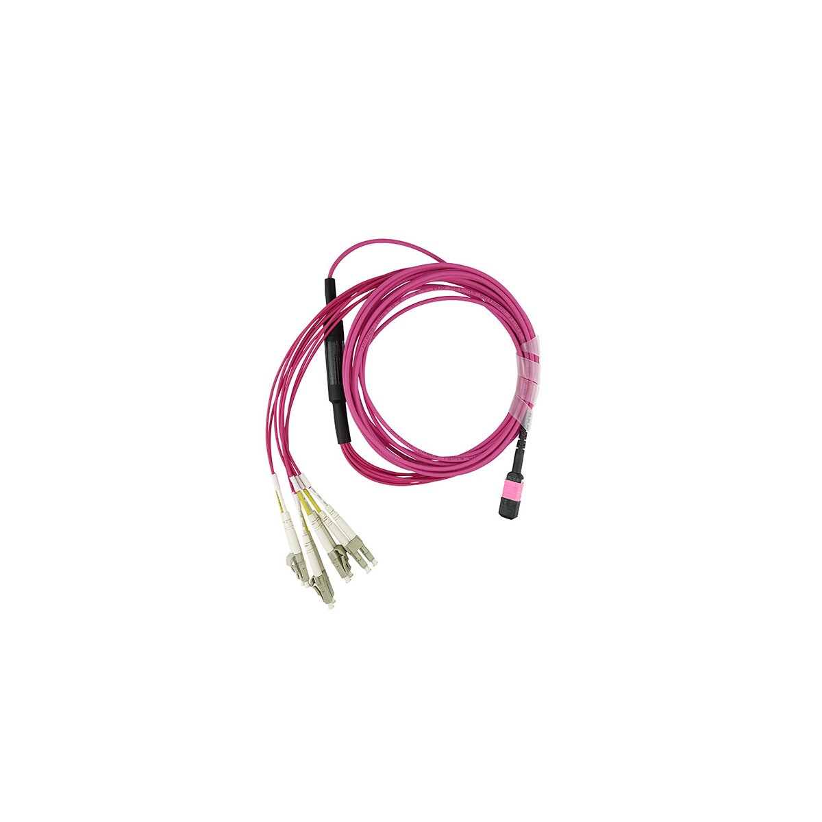 Un cavo in fibra ottica rosa arrotolato. Sono visibili tre connettori.