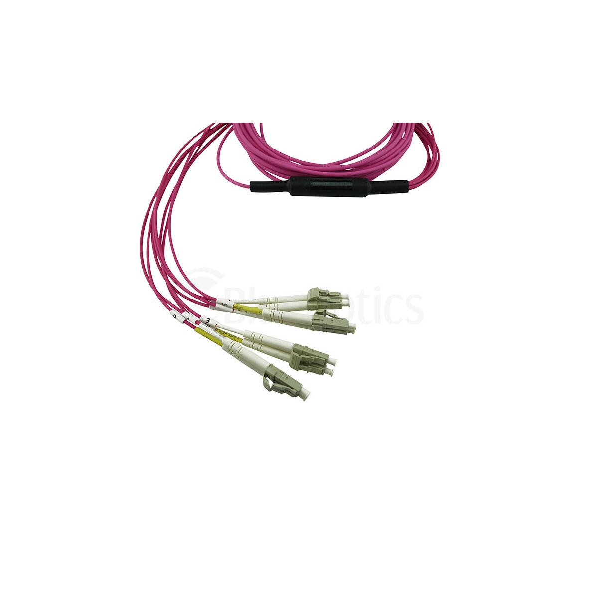 Un cavo in fibra ottica rosa con quattro connettori. I connettori sono bianchi e grigi.