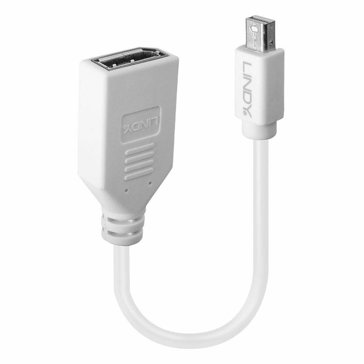Cavo adattatore USB bianco, da USB a mini-USB.