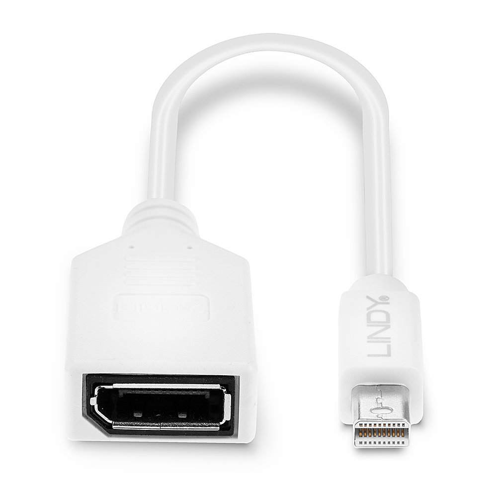 Adattatore LINDY bianco. Cavo Mini DisplayPort a DisplayPort, sfondo bianco.
