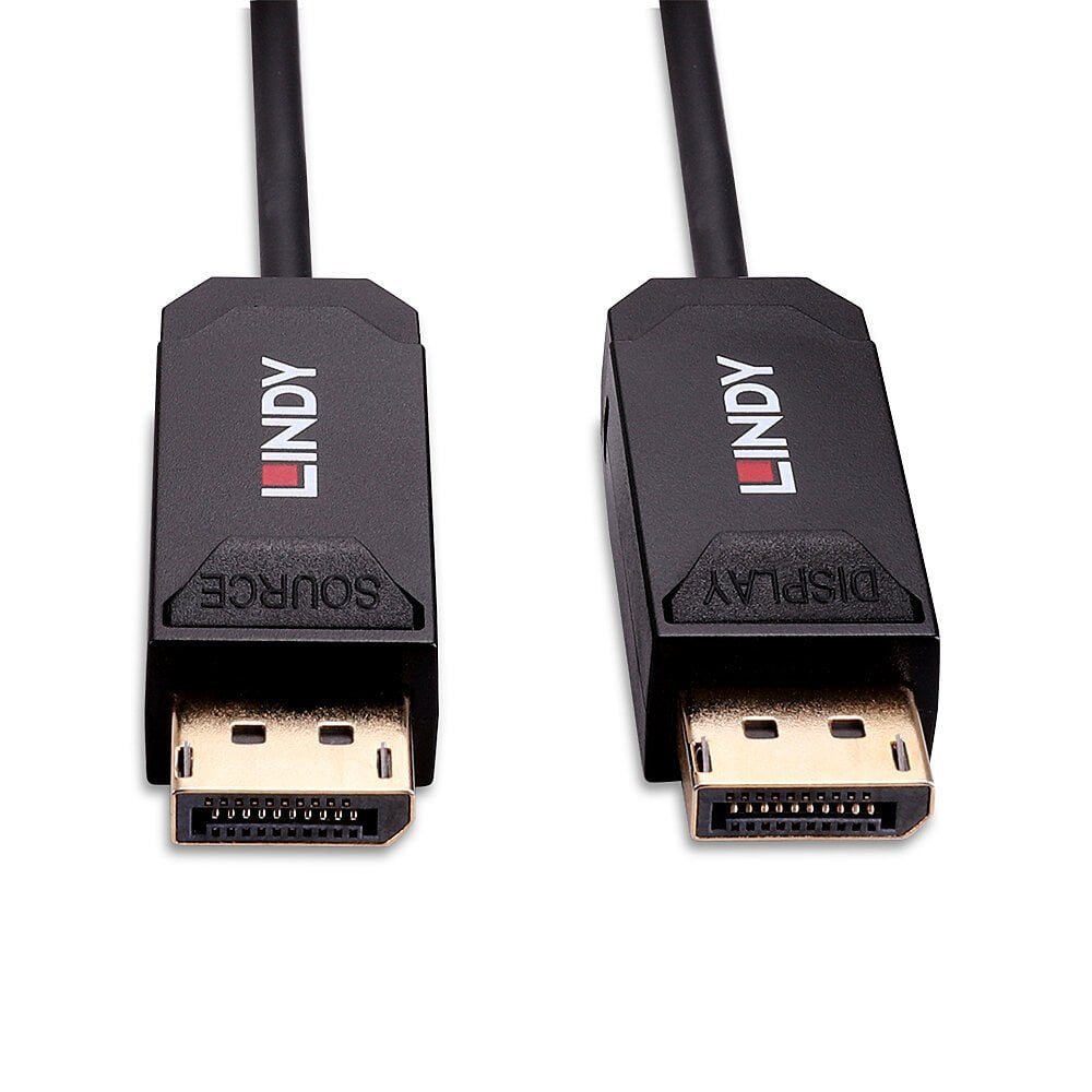 Due cavi DisplayPort neri con connettori dorati. Marchio LINDY. Sfondo bianco, ripresa angolata.