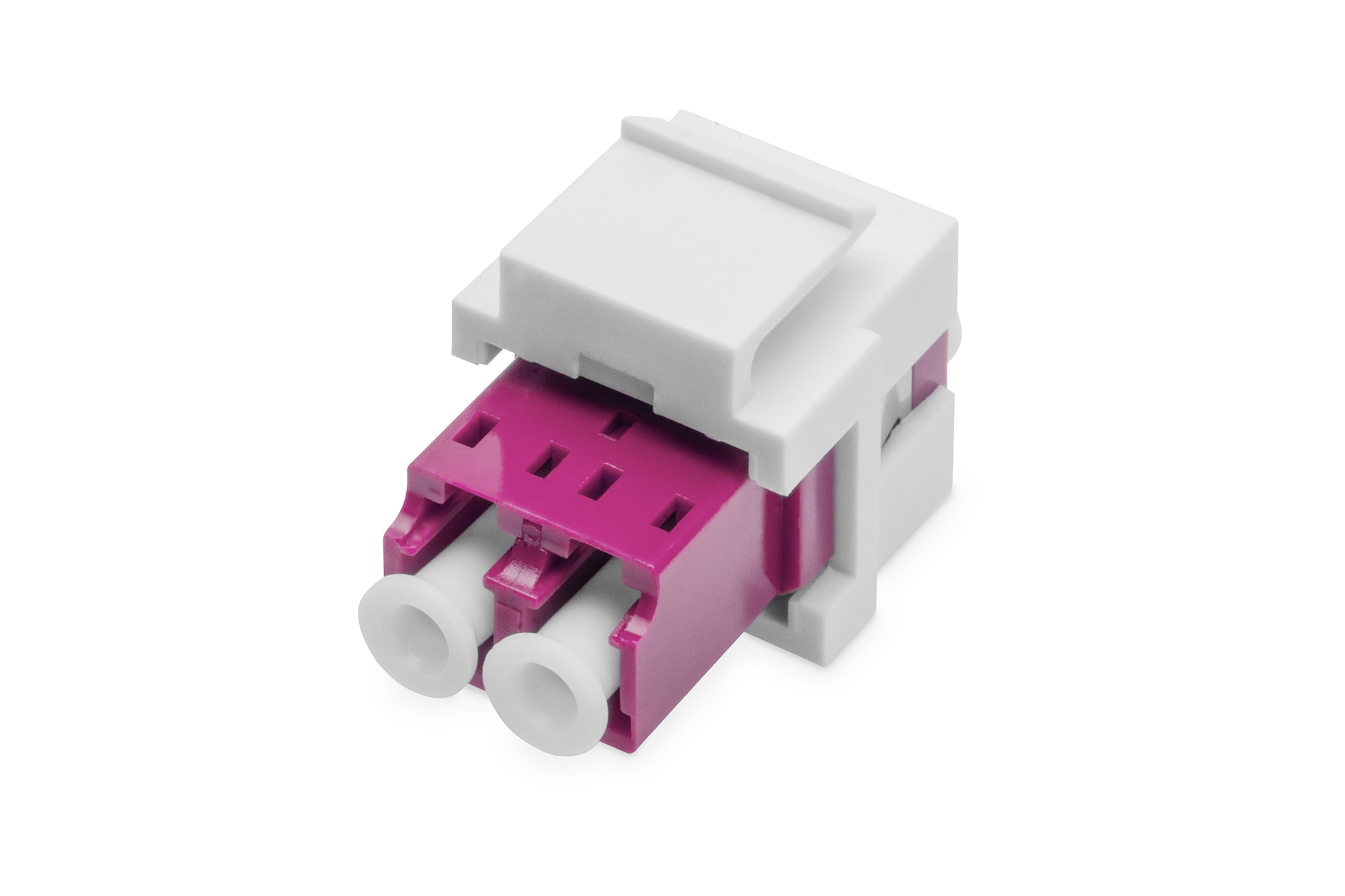 Un connettore keystone di rete bianco e rosa, su sfondo bianco.