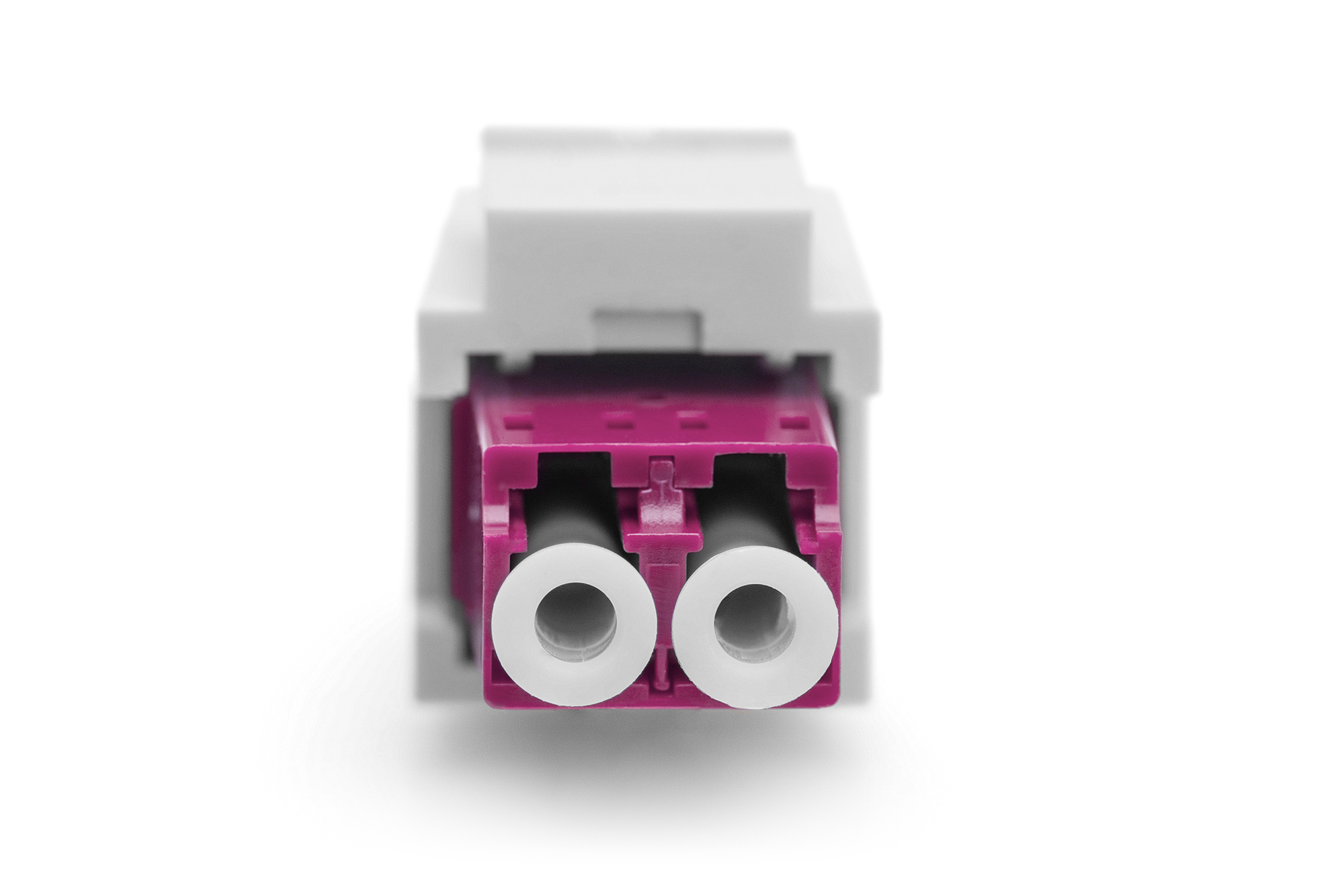 Connettore bianco e magenta. Due fori. Sfondo bianco.