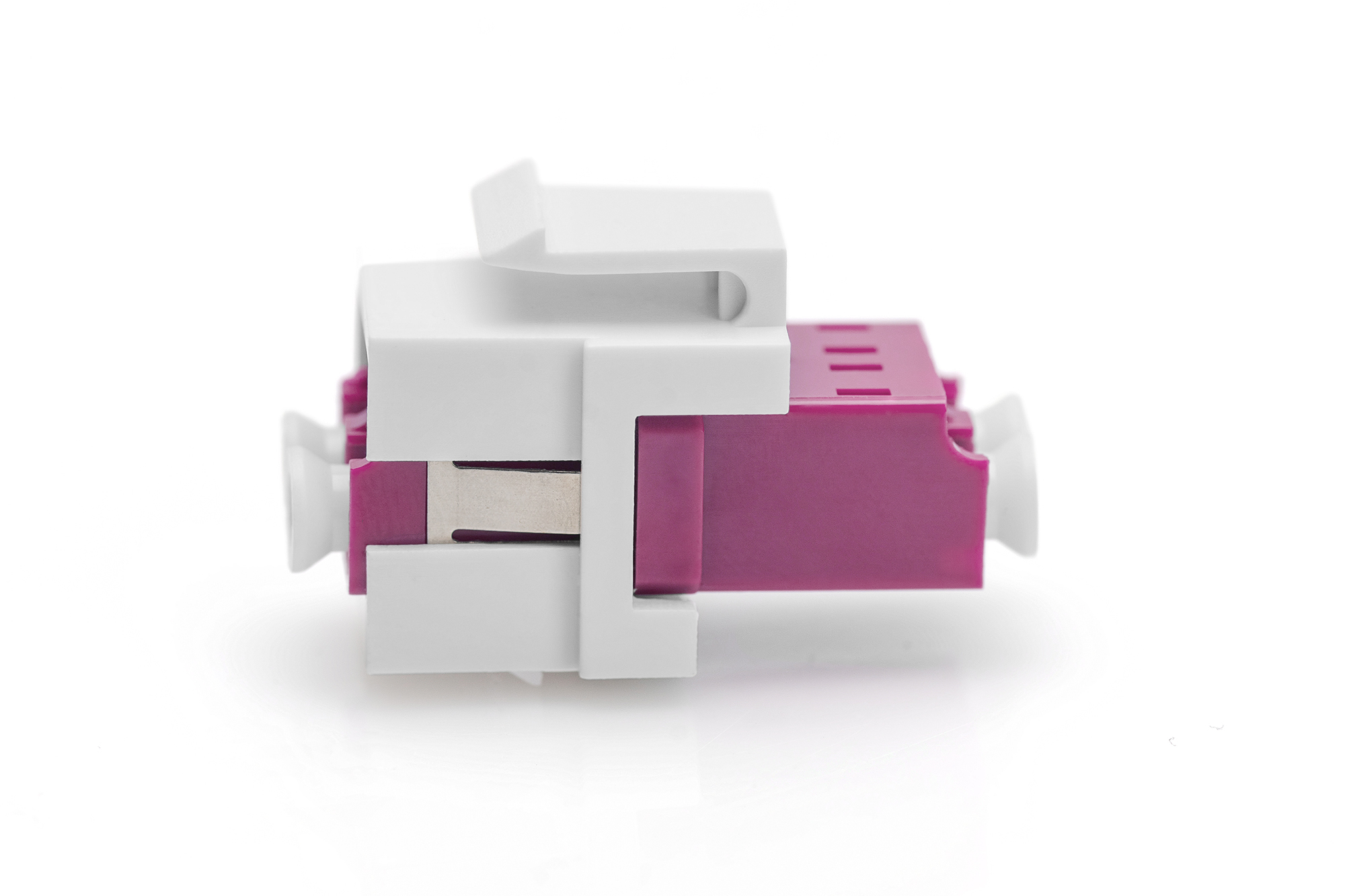 Un connettore di rete bianco e viola su sfondo bianco.