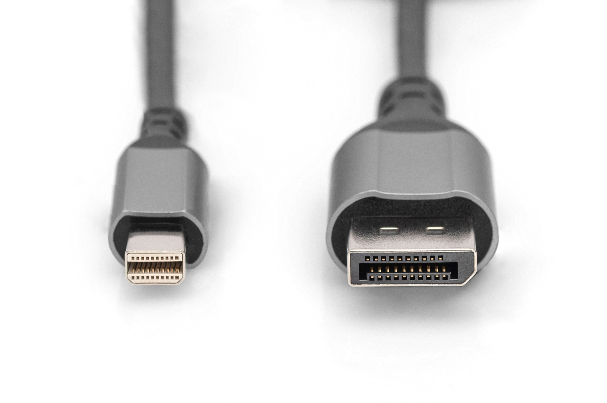 Primo piano di un connettore DisplayPort e mini DisplayPort su sfondo bianco.